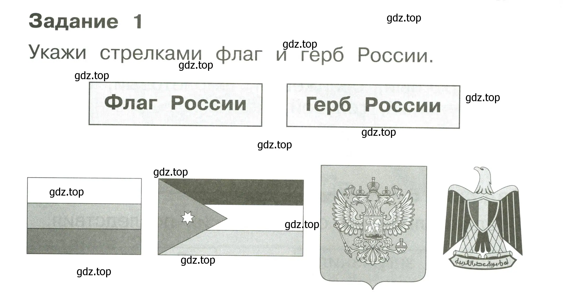 Условие номер 1 (страница 54) гдз по окружающему миру 1 класс Плешаков, Плешаков, проверочные работы