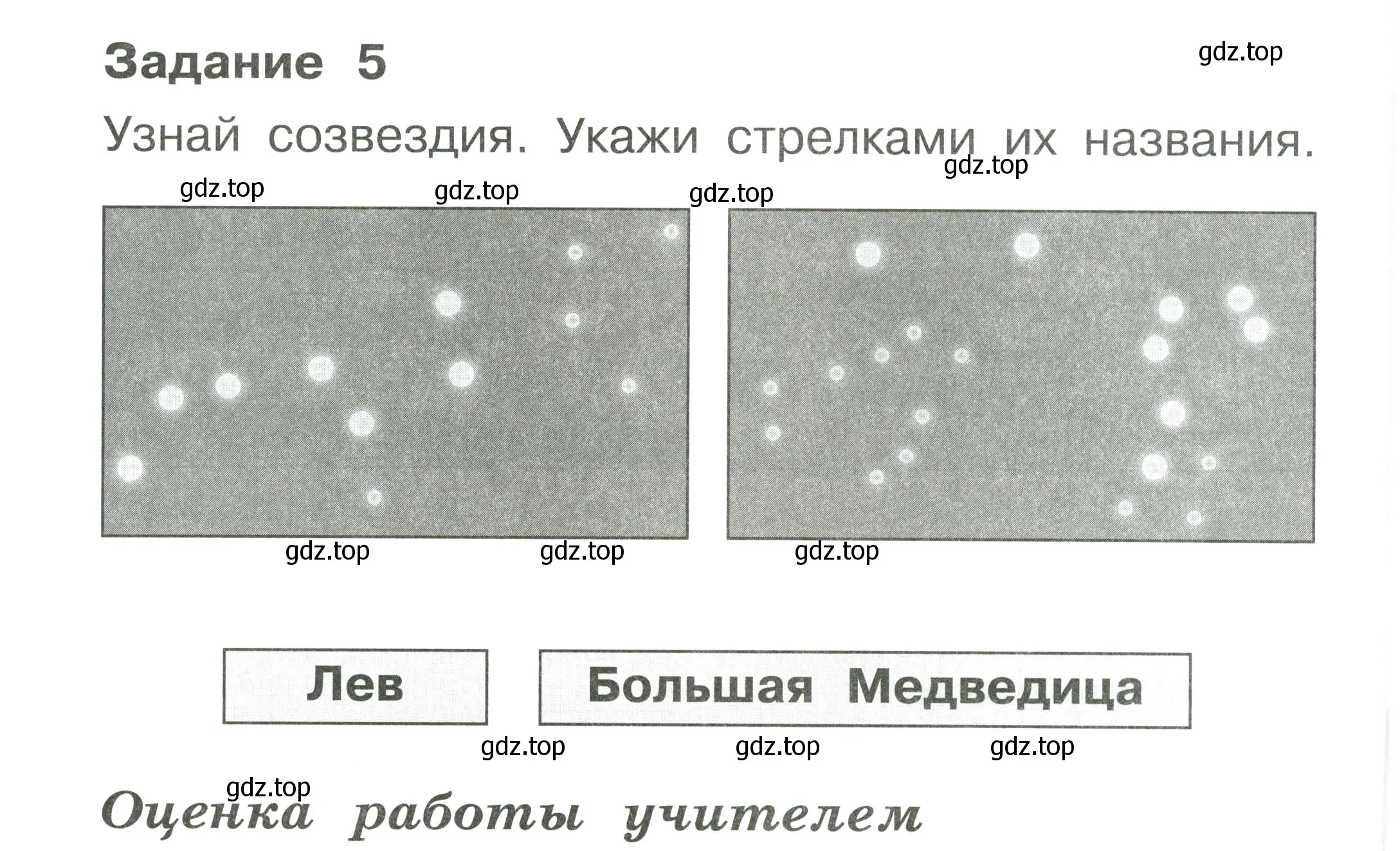 Условие номер 5 (страница 58) гдз по окружающему миру 1 класс Плешаков, Плешаков, проверочные работы