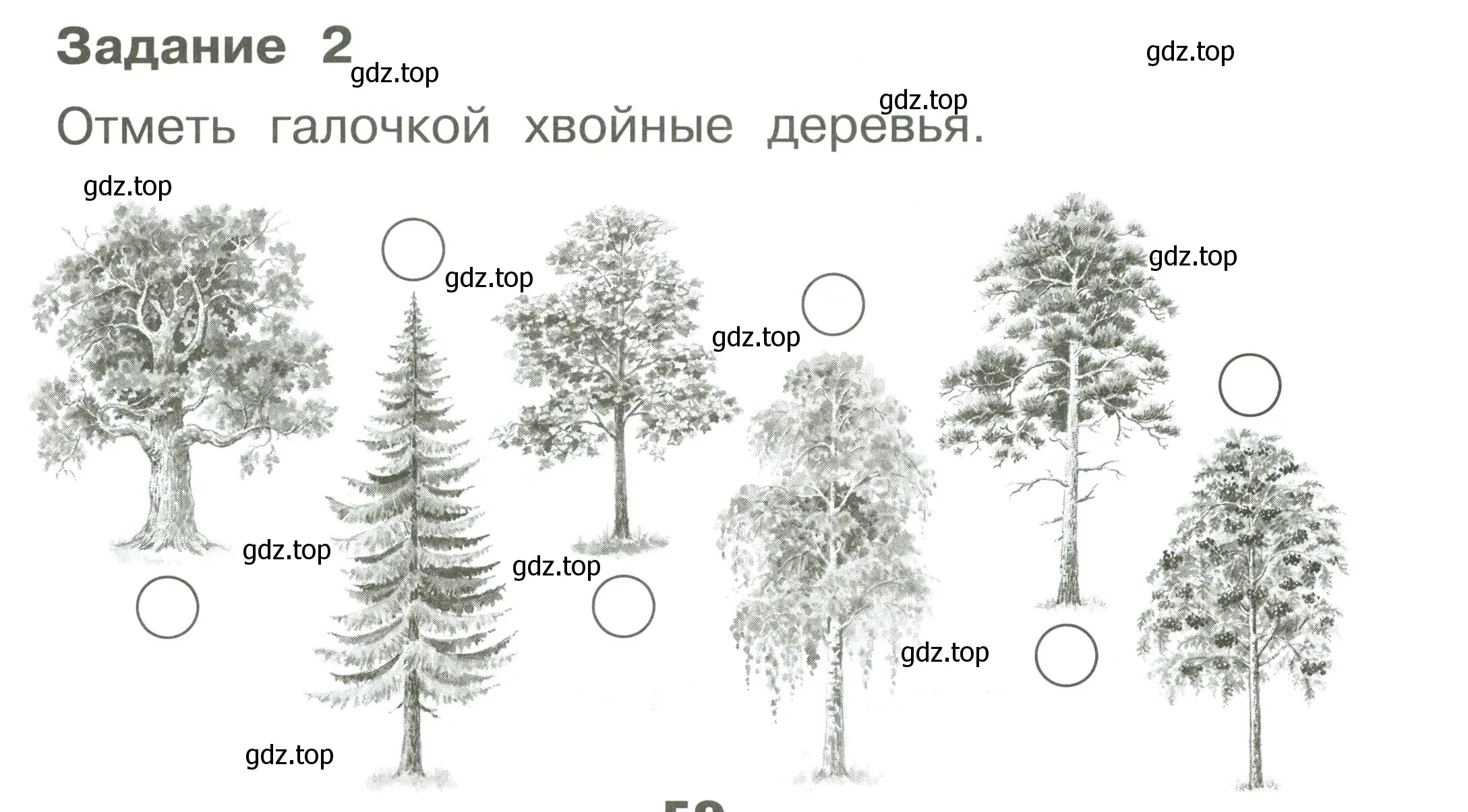 Условие номер 2 (страница 59) гдз по окружающему миру 1 класс Плешаков, Плешаков, проверочные работы