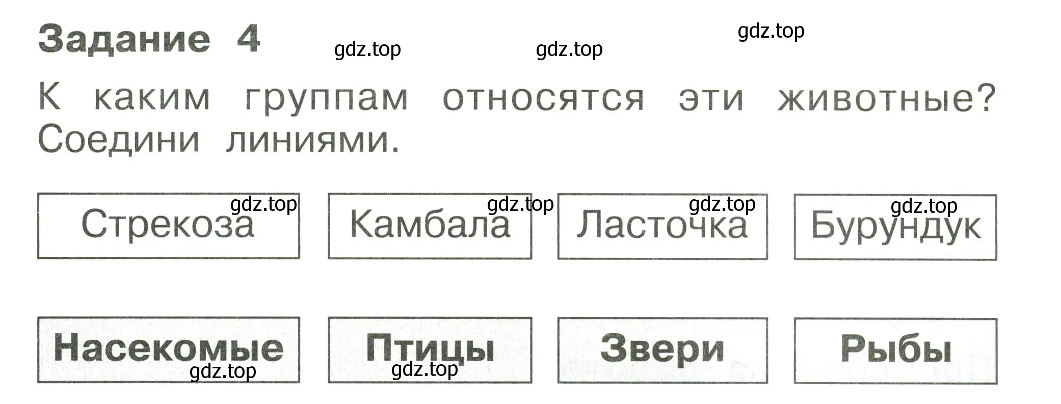 Условие номер 4 (страница 63) гдз по окружающему миру 1 класс Плешаков, Плешаков, проверочные работы