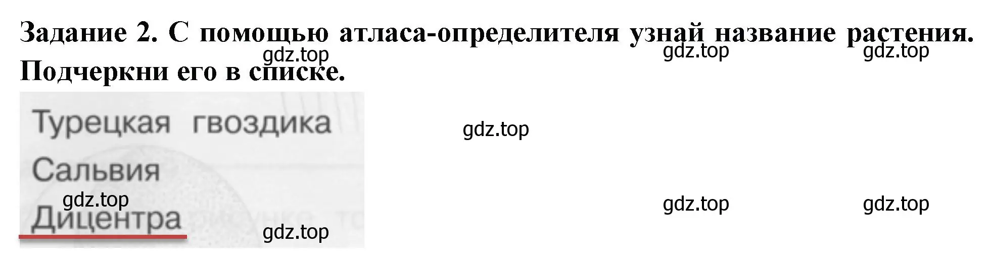 Решение номер 2 (страница 10) гдз по окружающему миру 1 класс Плешаков, Плешаков, проверочные работы