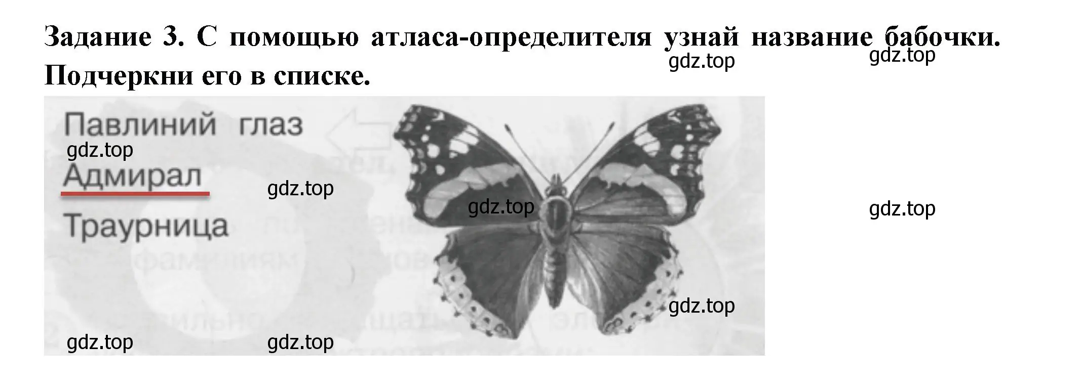 Решение номер 3 (страница 13) гдз по окружающему миру 1 класс Плешаков, Плешаков, проверочные работы