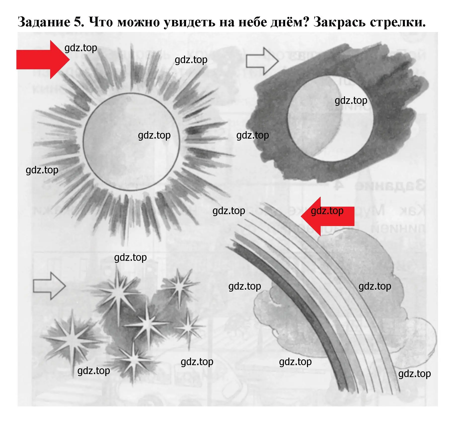 Решение номер 5 (страница 14) гдз по окружающему миру 1 класс Плешаков, Плешаков, проверочные работы