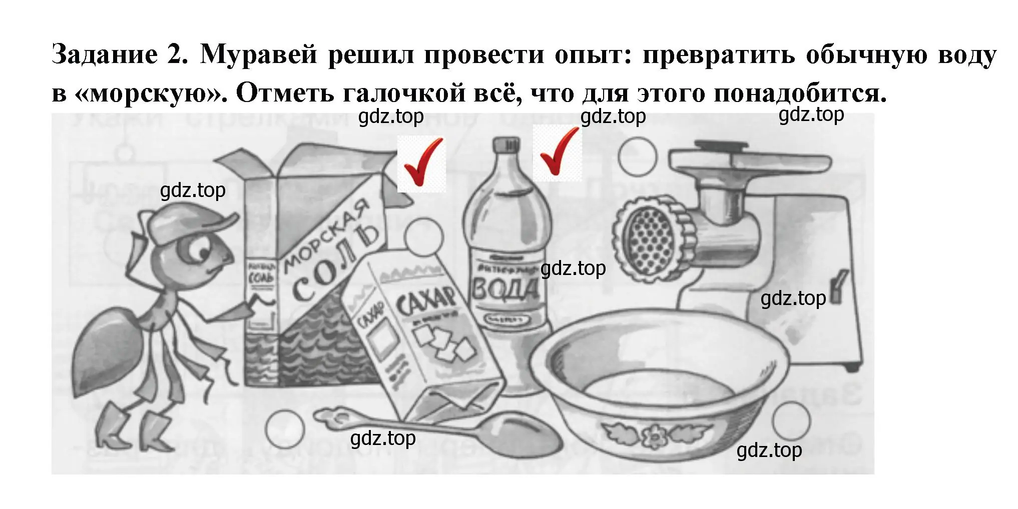 Решение номер 2 (страница 17) гдз по окружающему миру 1 класс Плешаков, Плешаков, проверочные работы