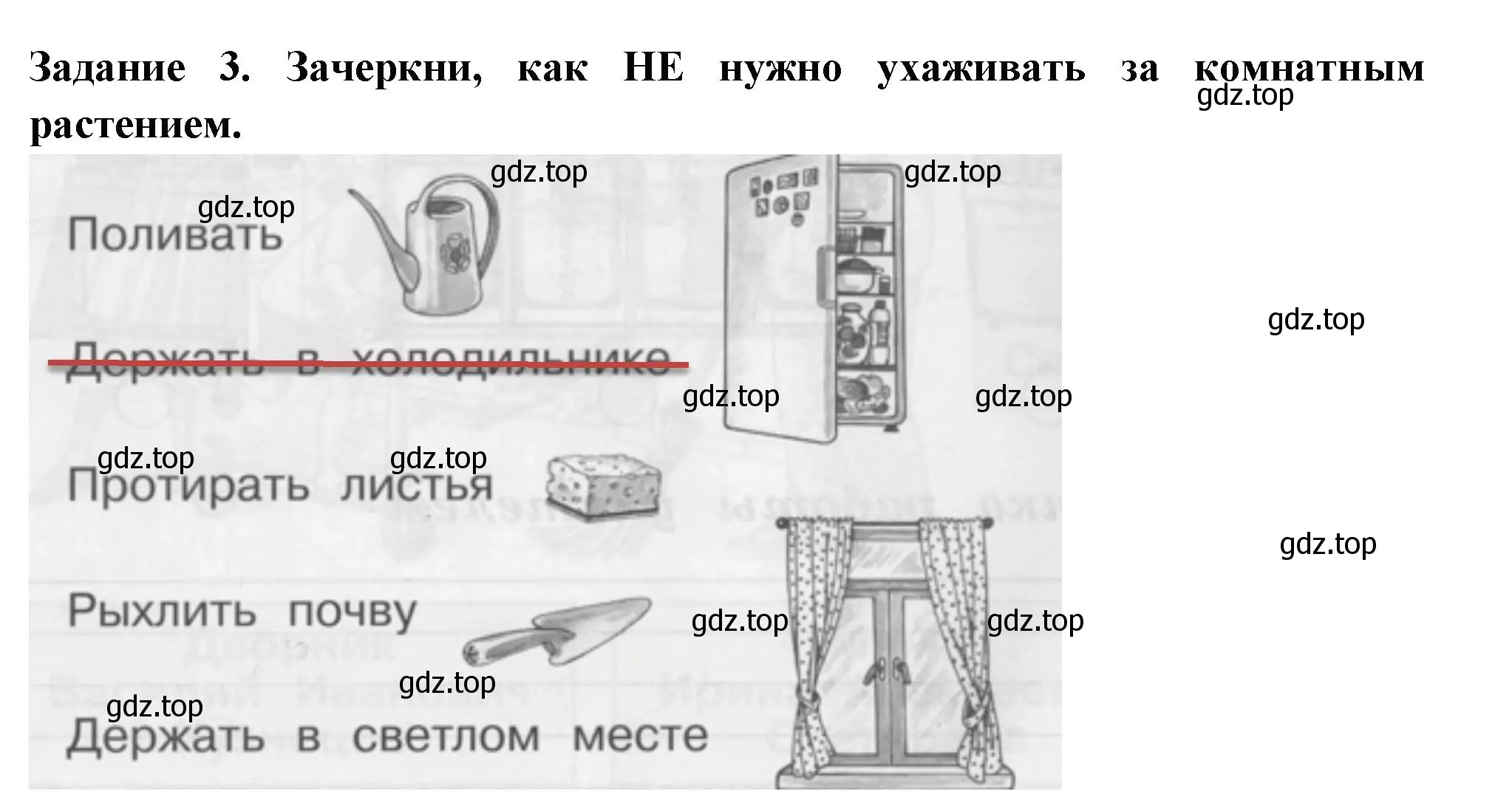 Решение номер 3 (страница 17) гдз по окружающему миру 1 класс Плешаков, Плешаков, проверочные работы