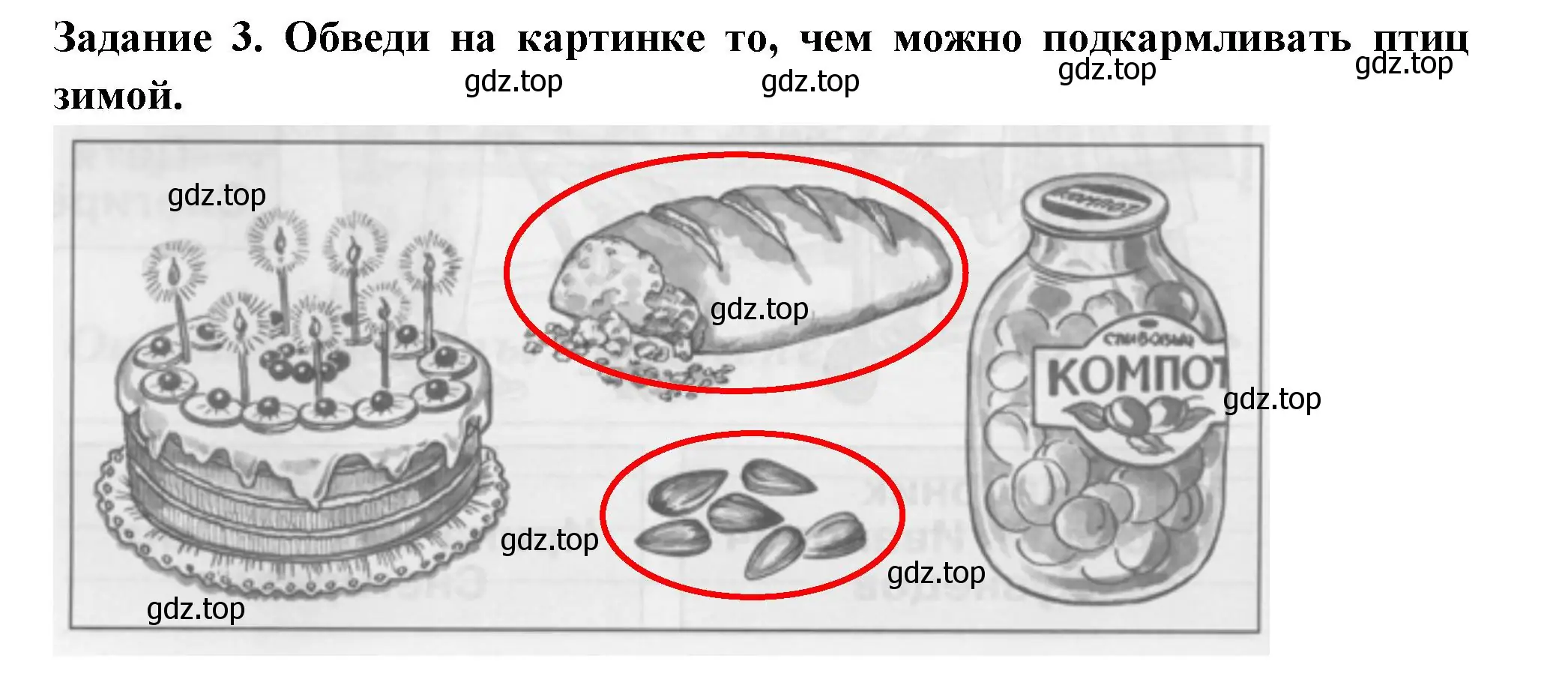 Решение номер 3 (страница 20) гдз по окружающему миру 1 класс Плешаков, Плешаков, проверочные работы