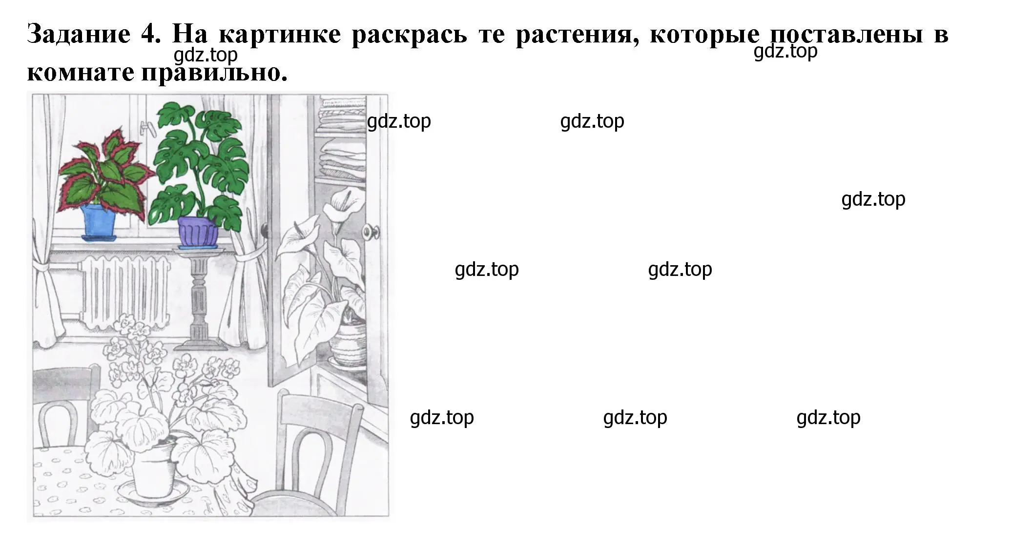 Решение номер 4 (страница 21) гдз по окружающему миру 1 класс Плешаков, Плешаков, проверочные работы