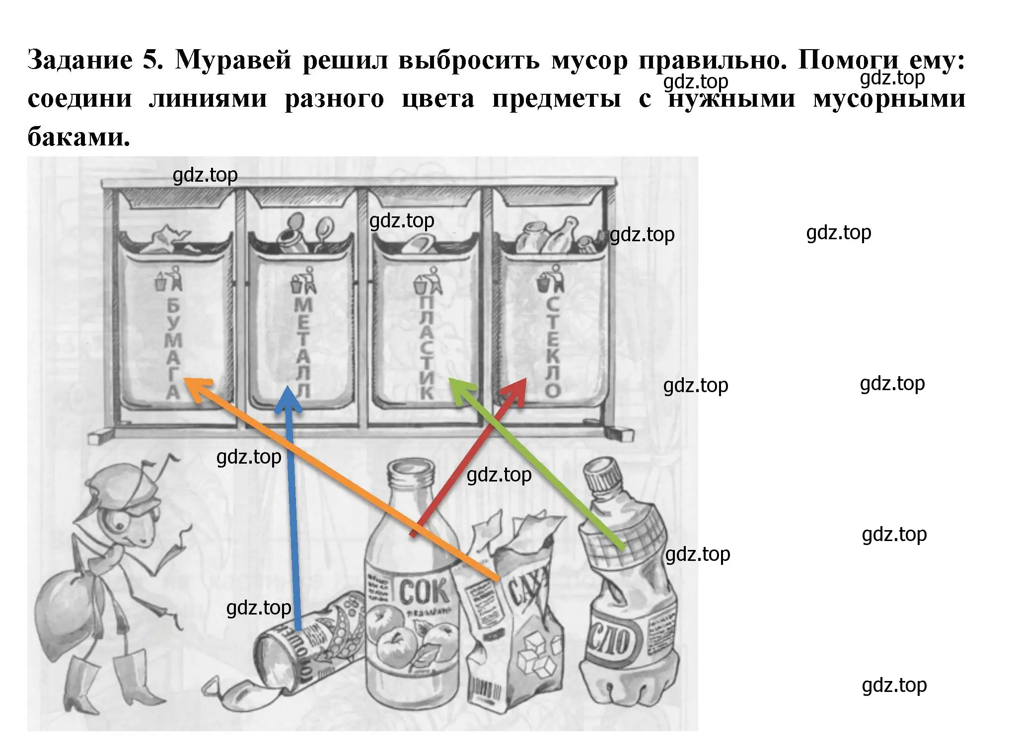 Решение номер 5 (страница 22) гдз по окружающему миру 1 класс Плешаков, Плешаков, проверочные работы