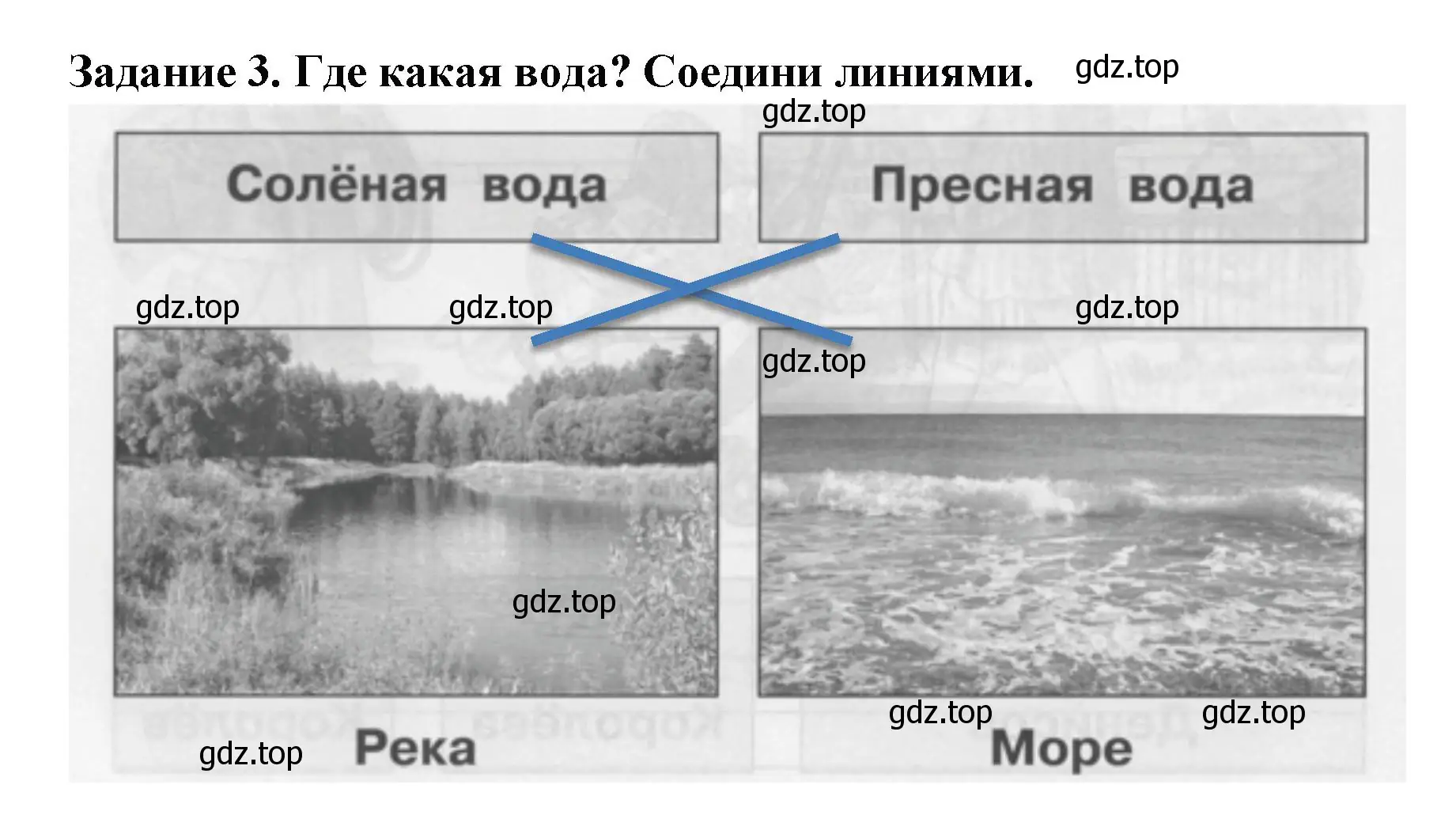 Решение номер 3 (страница 24) гдз по окружающему миру 1 класс Плешаков, Плешаков, проверочные работы