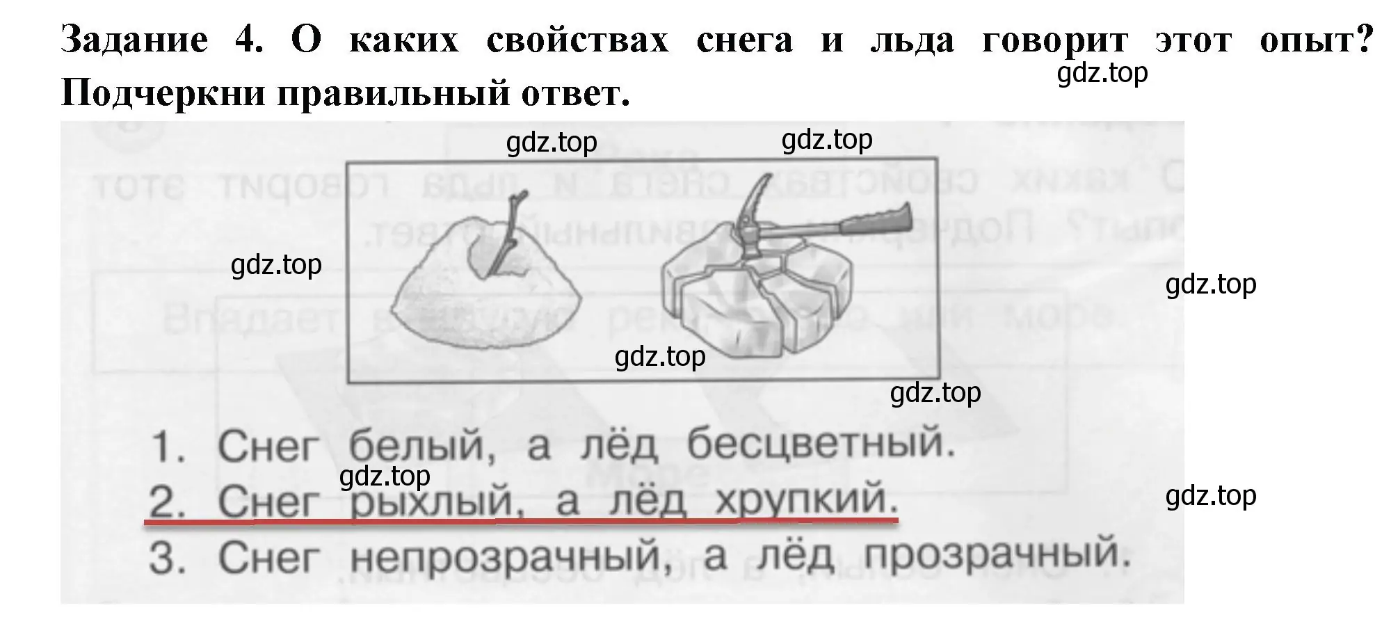 Решение номер 4 (страница 25) гдз по окружающему миру 1 класс Плешаков, Плешаков, проверочные работы