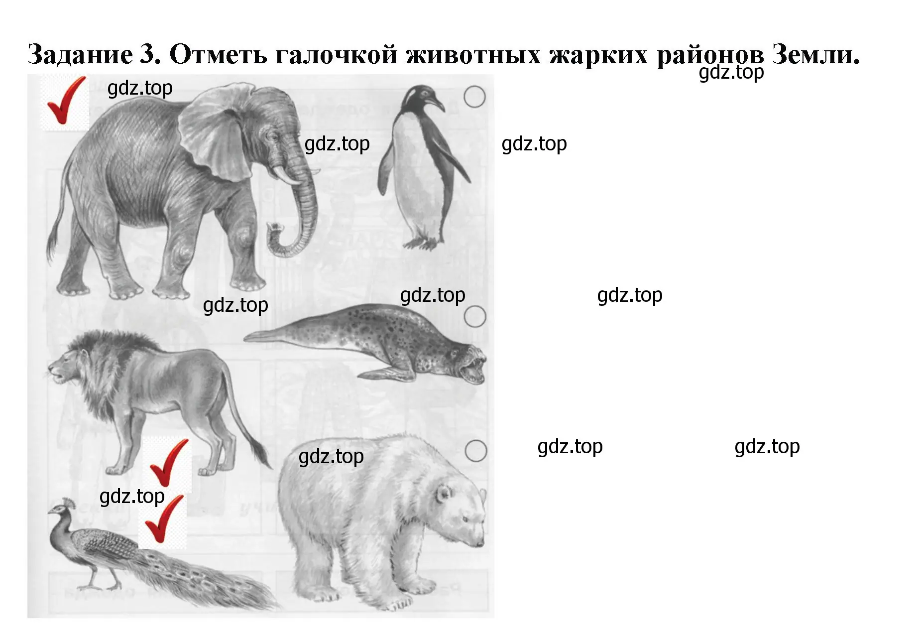 Решение номер 3 (страница 31) гдз по окружающему миру 1 класс Плешаков, Плешаков, проверочные работы