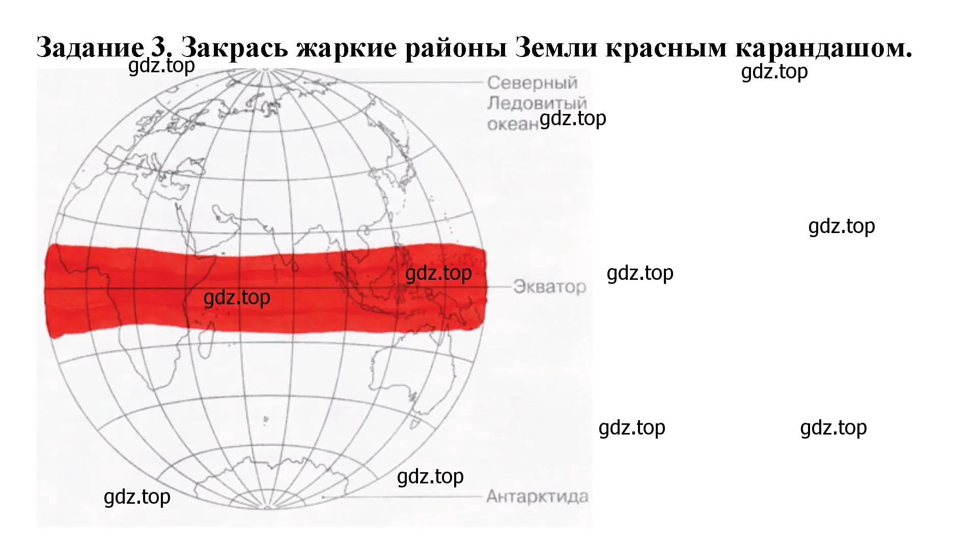 Решение номер 3 (страница 35) гдз по окружающему миру 1 класс Плешаков, Плешаков, проверочные работы