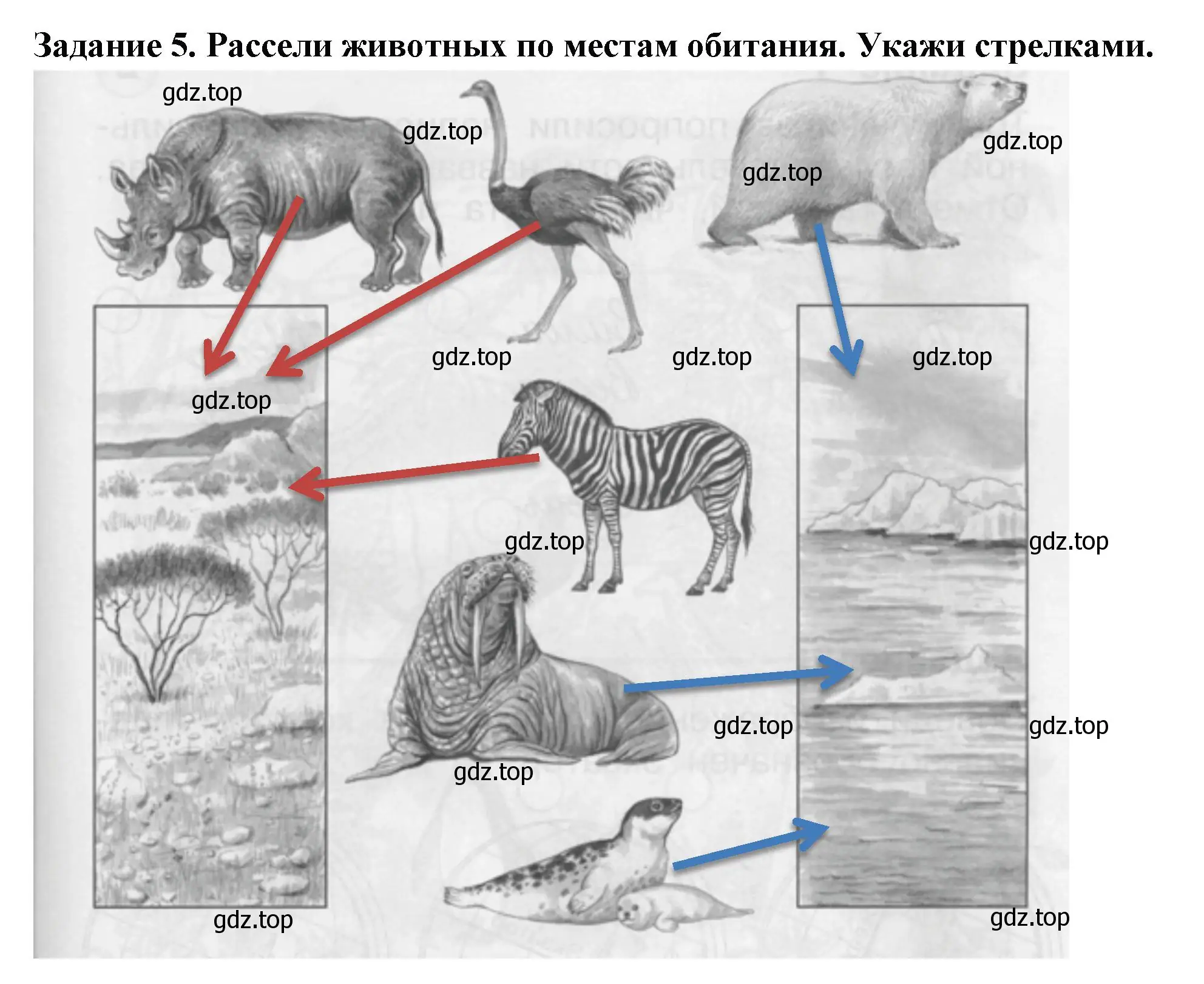 Решение номер 5 (страница 39) гдз по окружающему миру 1 класс Плешаков, Плешаков, проверочные работы