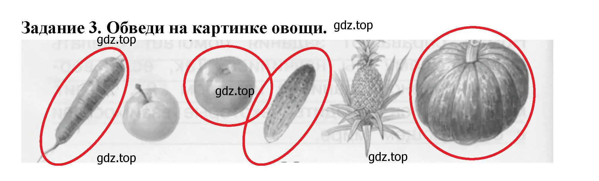 Решение номер 3 (страница 44) гдз по окружающему миру 1 класс Плешаков, Плешаков, проверочные работы