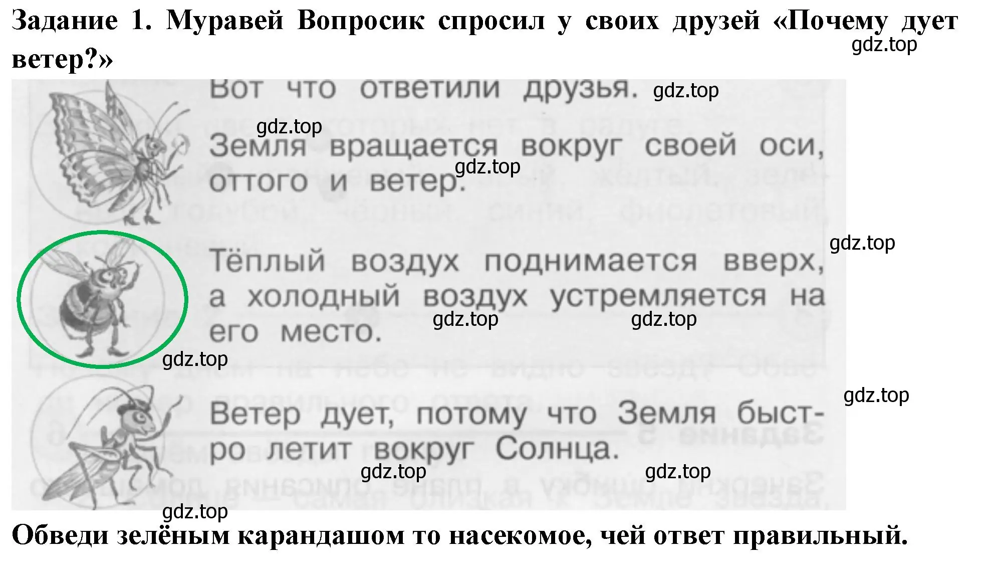 Решение номер 1 (страница 46) гдз по окружающему миру 1 класс Плешаков, Плешаков, проверочные работы