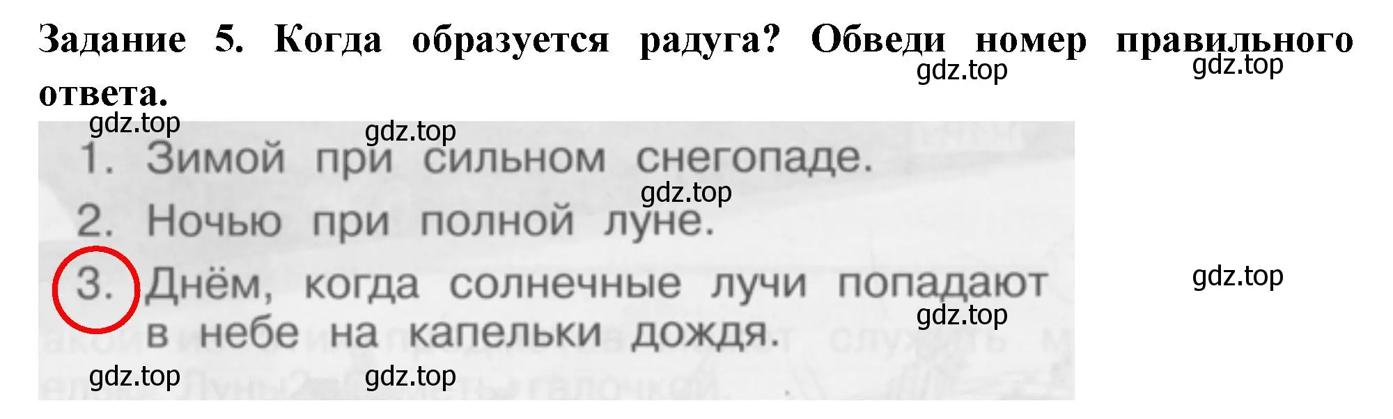 Решение номер 5 (страница 48) гдз по окружающему миру 1 класс Плешаков, Плешаков, проверочные работы