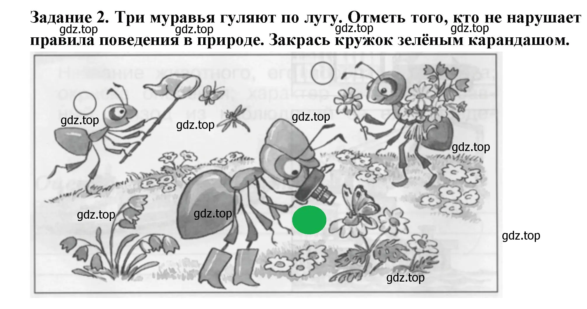 Решение номер 2 (страница 49) гдз по окружающему миру 1 класс Плешаков, Плешаков, проверочные работы