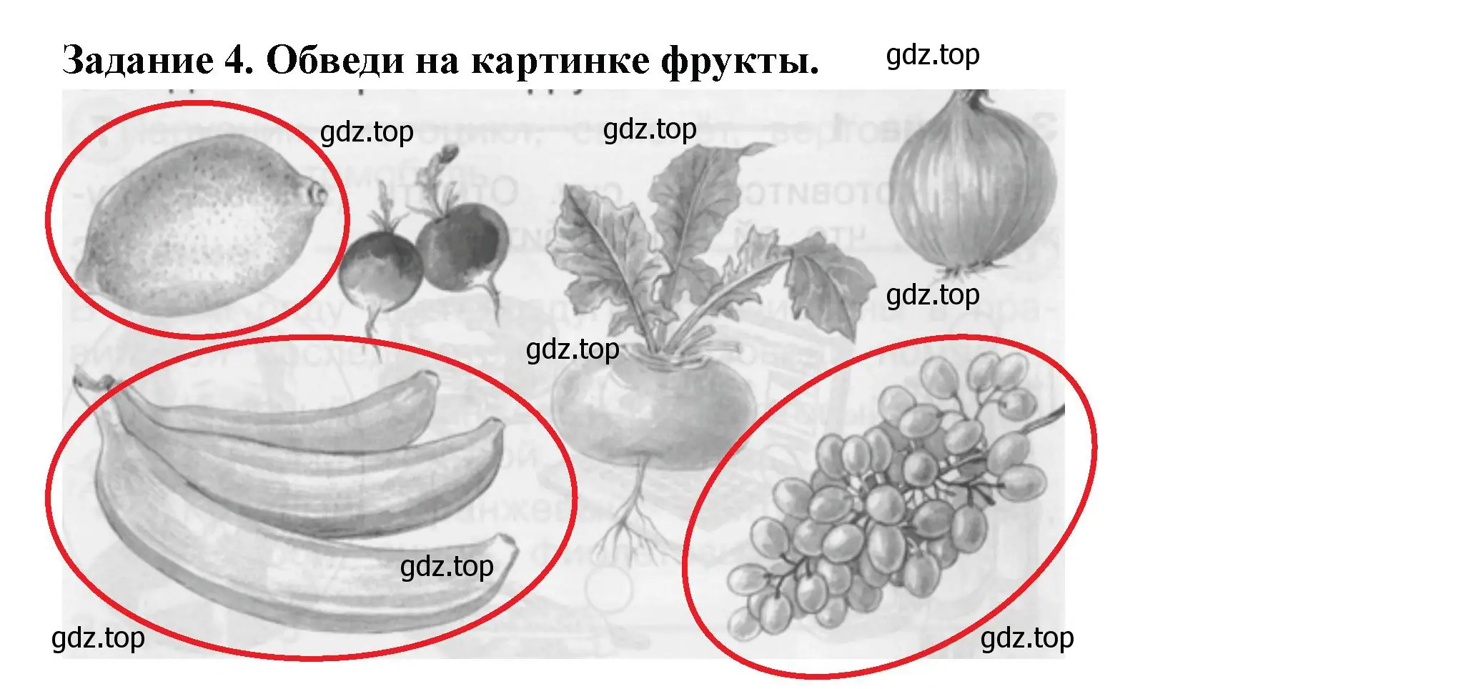 Решение номер 4 (страница 51) гдз по окружающему миру 1 класс Плешаков, Плешаков, проверочные работы