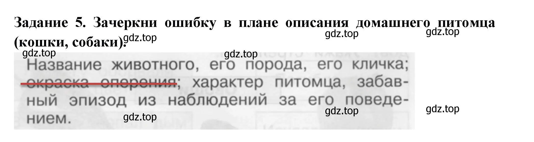 Решение номер 5 (страница 51) гдз по окружающему миру 1 класс Плешаков, Плешаков, проверочные работы