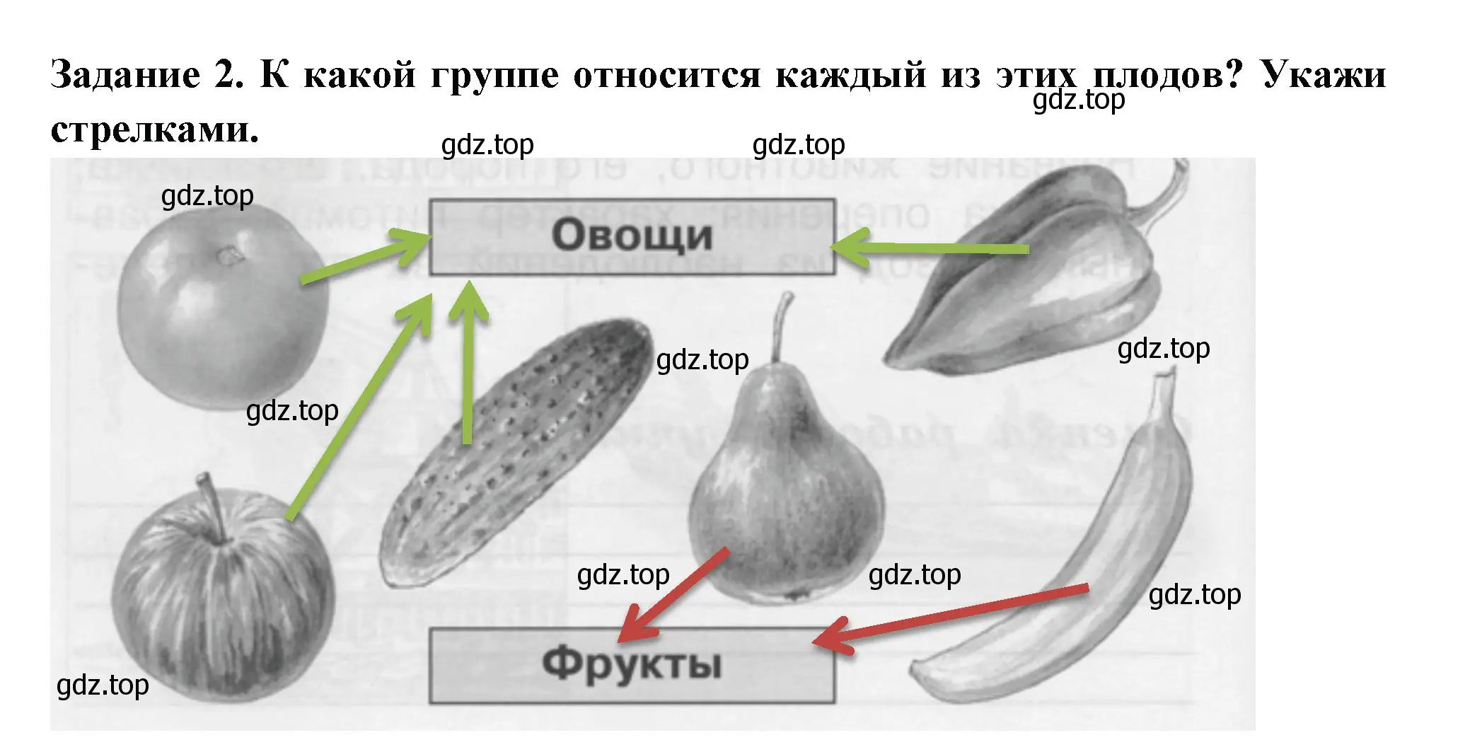 Решение номер 2 (страница 52) гдз по окружающему миру 1 класс Плешаков, Плешаков, проверочные работы