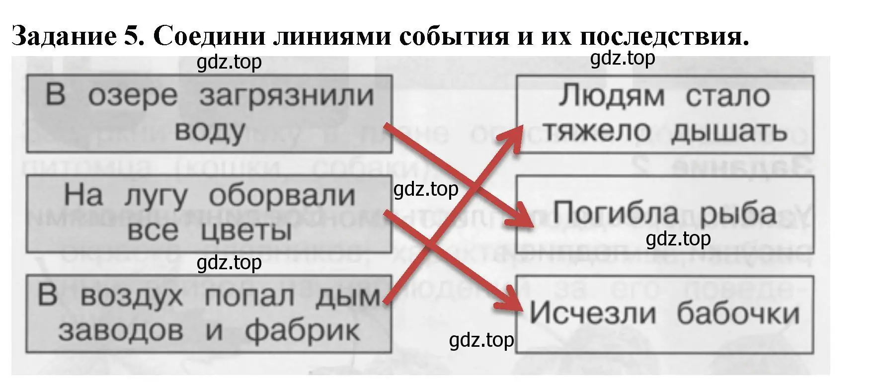 Решение номер 5 (страница 53) гдз по окружающему миру 1 класс Плешаков, Плешаков, проверочные работы