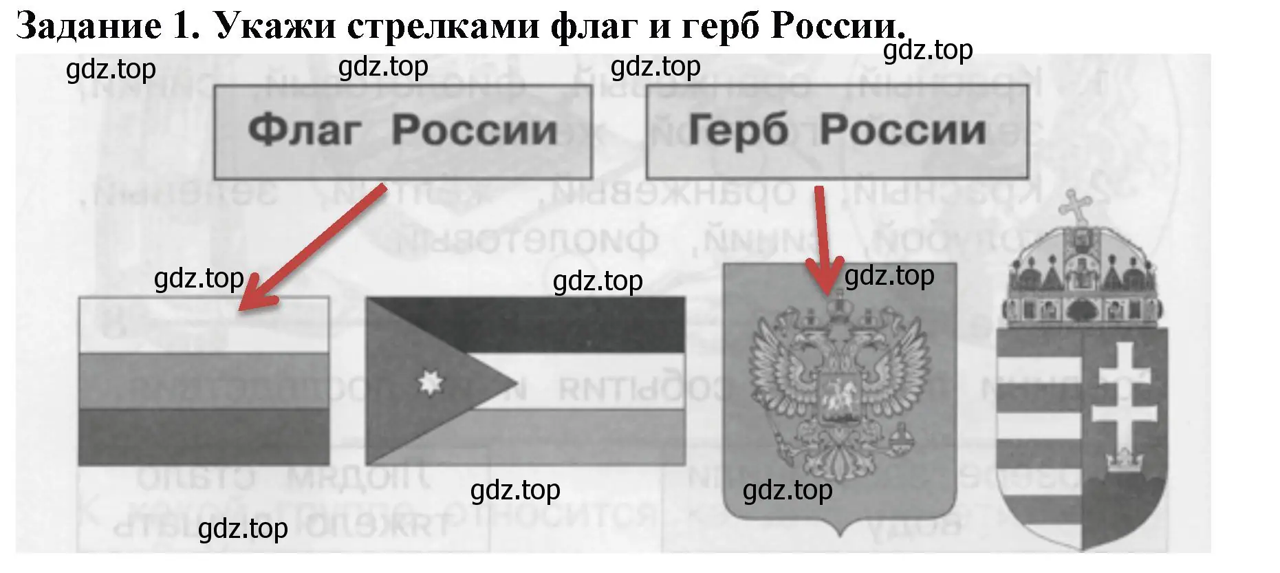 Решение номер 1 (страница 54) гдз по окружающему миру 1 класс Плешаков, Плешаков, проверочные работы