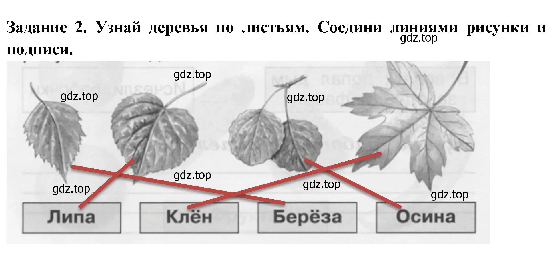 Решение номер 2 (страница 54) гдз по окружающему миру 1 класс Плешаков, Плешаков, проверочные работы