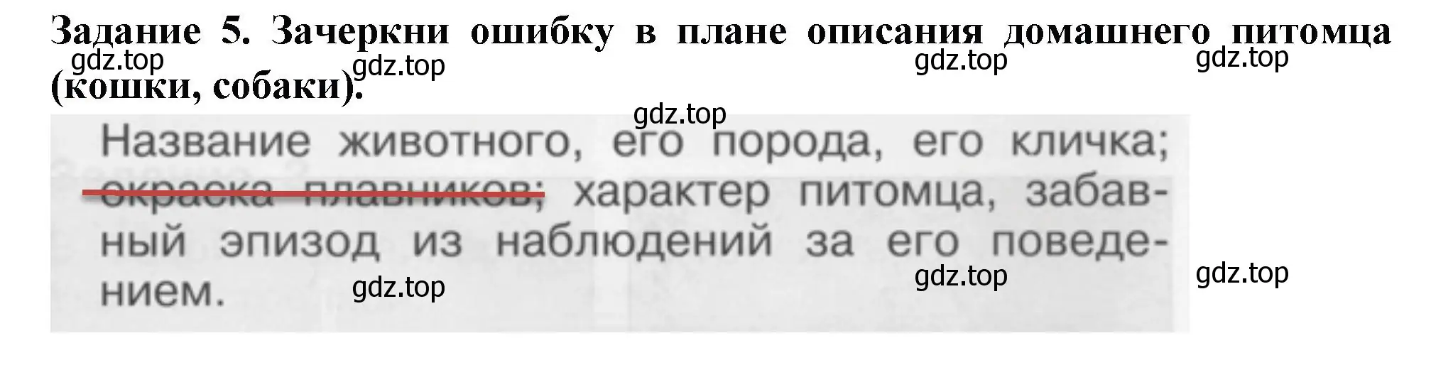 Решение номер 5 (страница 55) гдз по окружающему миру 1 класс Плешаков, Плешаков, проверочные работы