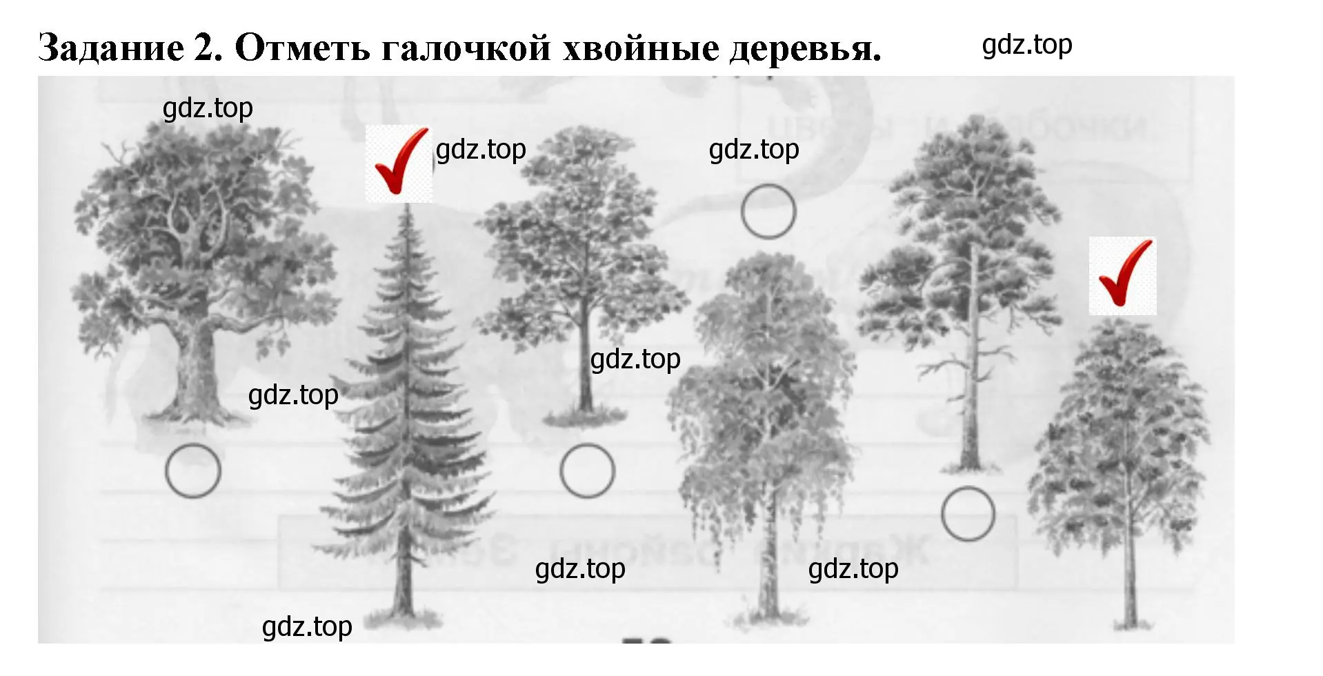 Решение номер 2 (страница 59) гдз по окружающему миру 1 класс Плешаков, Плешаков, проверочные работы