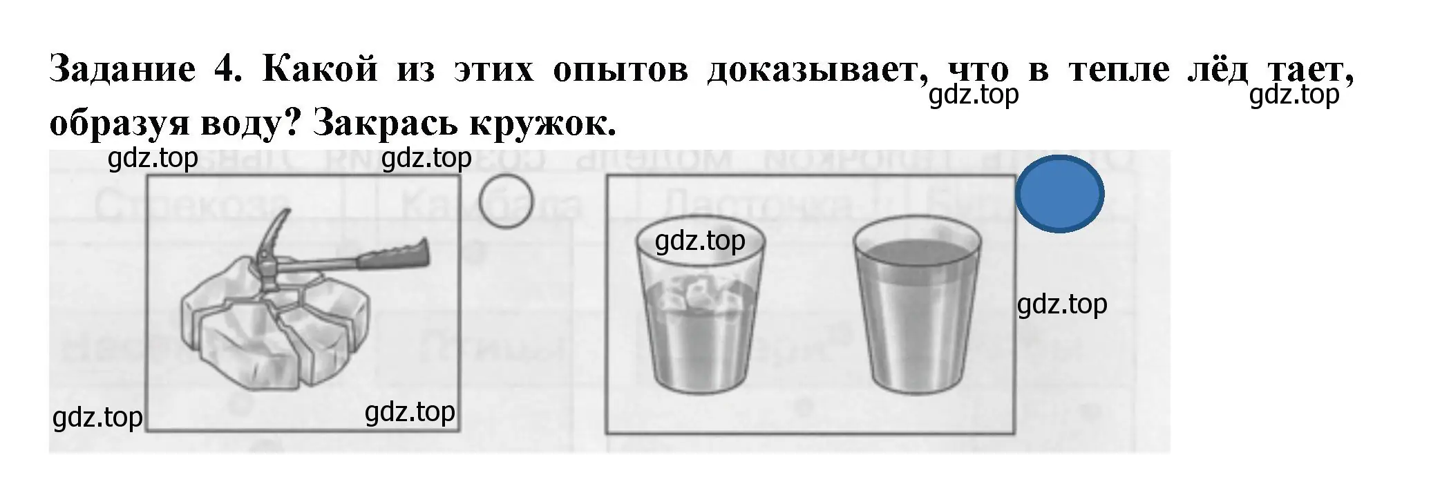 Решение номер 4 (страница 61) гдз по окружающему миру 1 класс Плешаков, Плешаков, проверочные работы