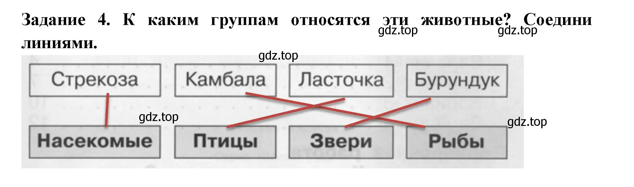 Решение номер 4 (страница 63) гдз по окружающему миру 1 класс Плешаков, Плешаков, проверочные работы