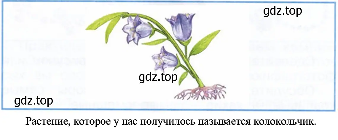 Собери растение из частей, данных в Приложении. - окружающий мир 1 класс Плешаков