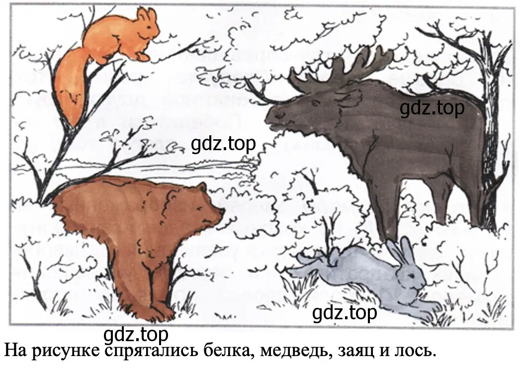 Белка, медведь, заяц и лось. - окружающий мир 1 класс Плешаков