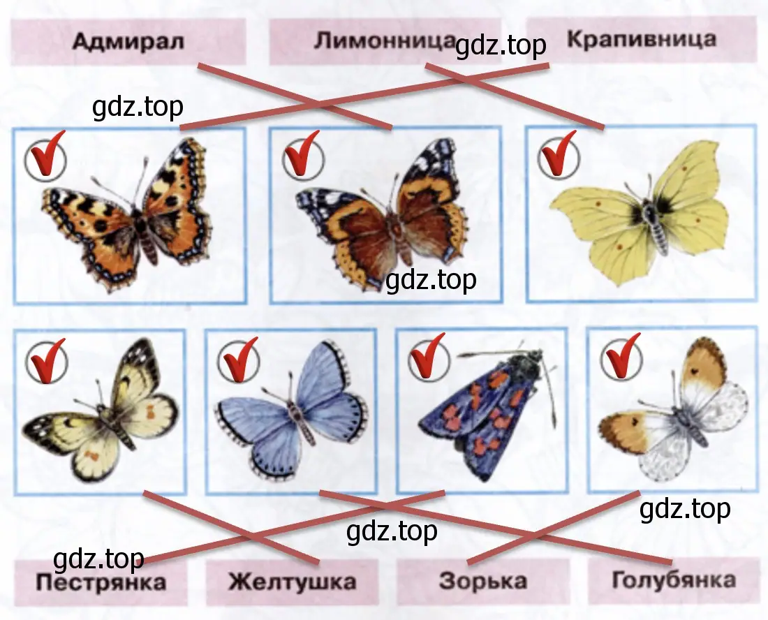 Отметьте галочкой тех бабочек, которых вам доводилось видеть в природе. - окружающий мир 1 класс Плешаков