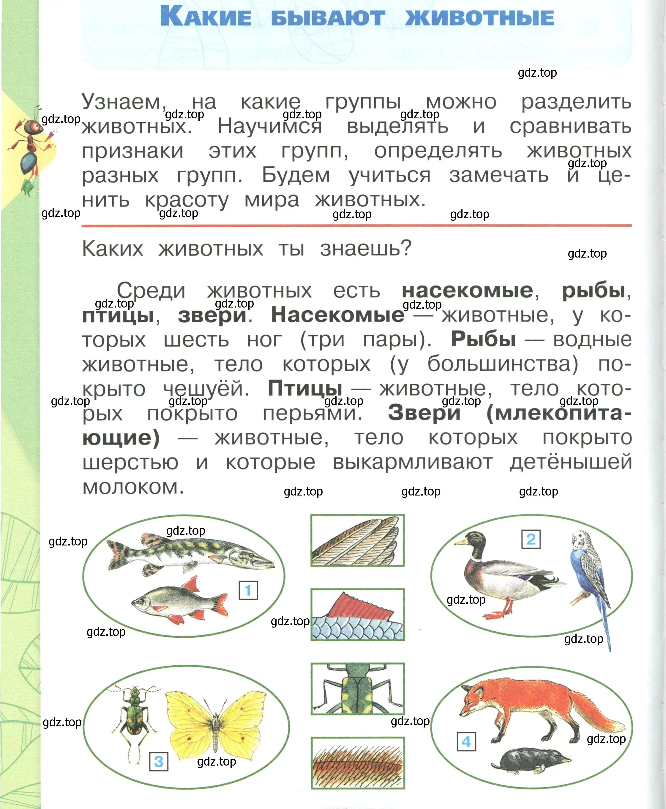 Условие номер 106 (страница 106) гдз по окружающему миру 1 класс Плешаков, учебник 1 часть