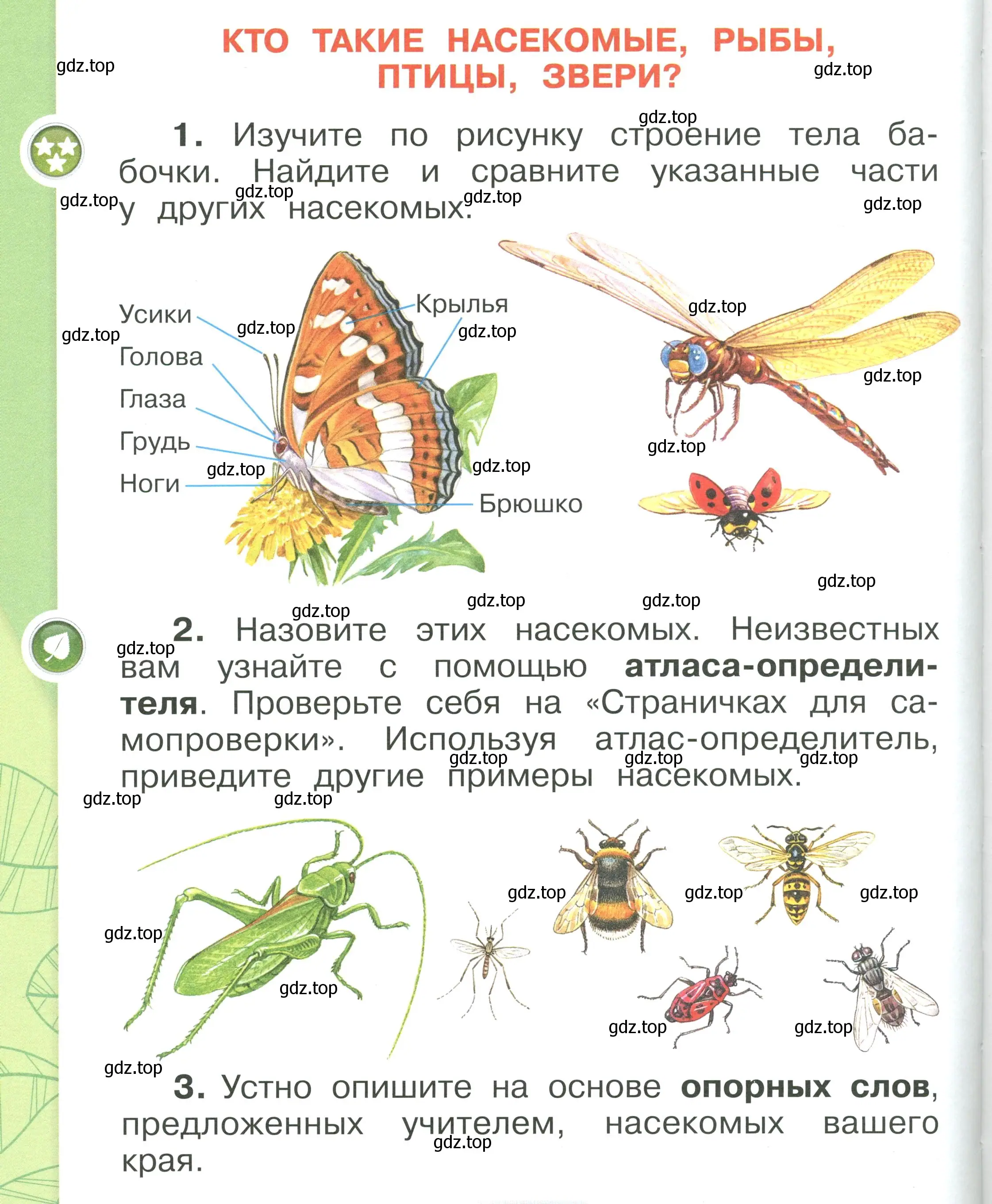 Условие номер 108 (страница 108) гдз по окружающему миру 1 класс Плешаков, учебник 1 часть