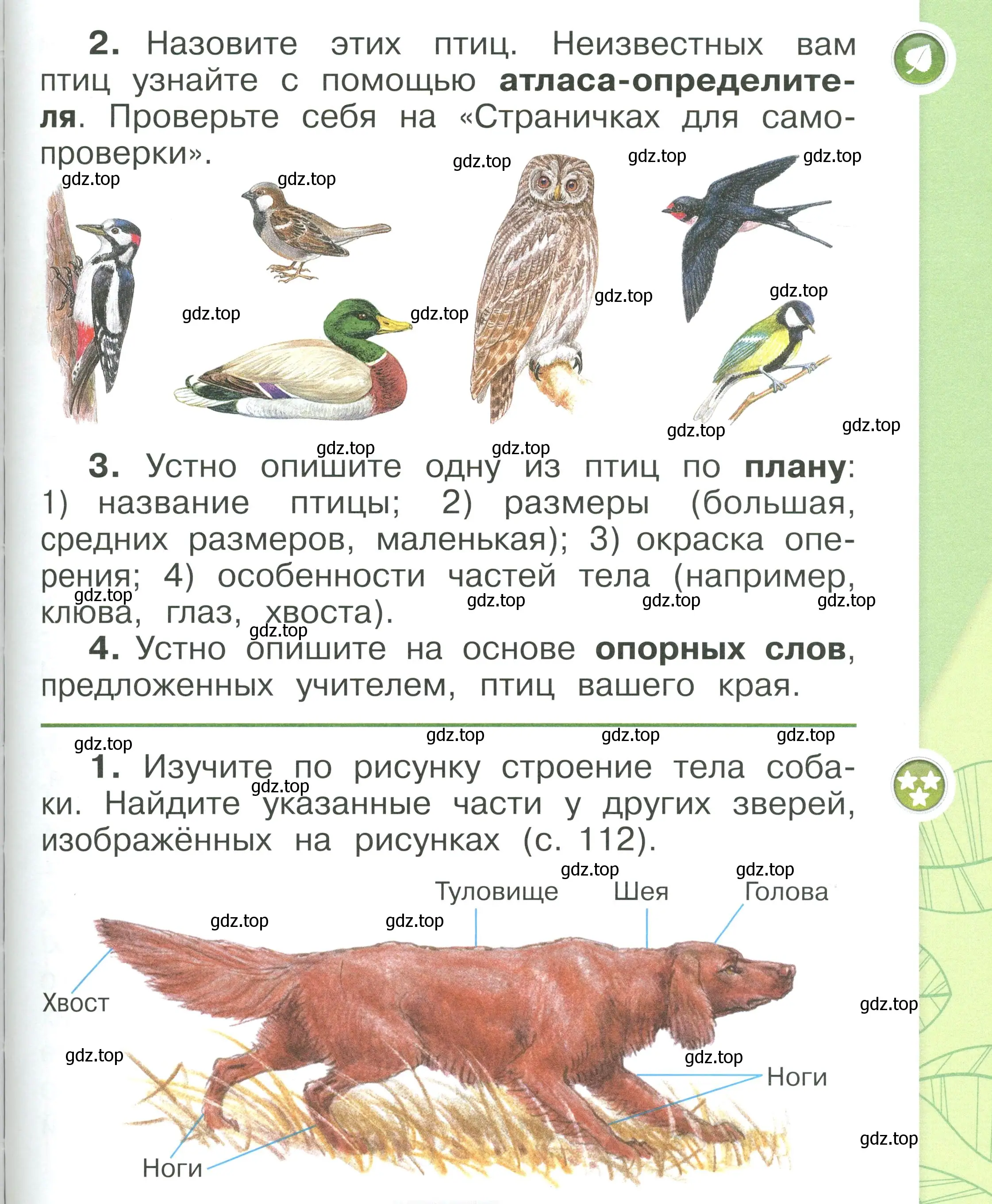 Условие номер 111 (страница 111) гдз по окружающему миру 1 класс Плешаков, учебник 1 часть