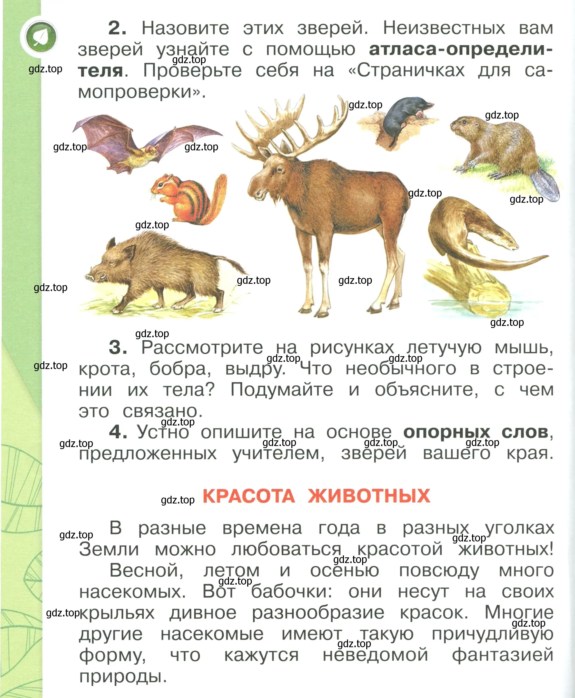 Условие номер 112 (страница 112) гдз по окружающему миру 1 класс Плешаков, учебник 1 часть