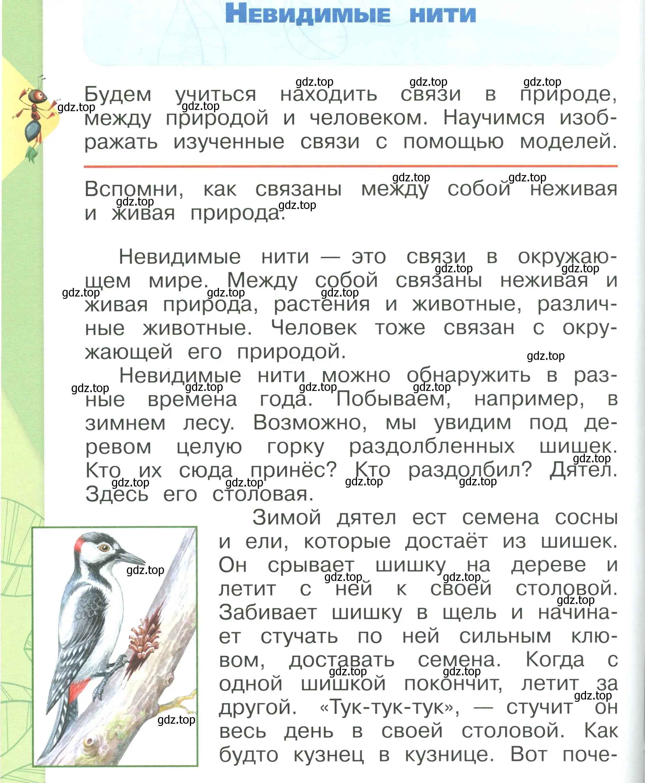 Условие номер 114 (страница 114) гдз по окружающему миру 1 класс Плешаков, учебник 1 часть