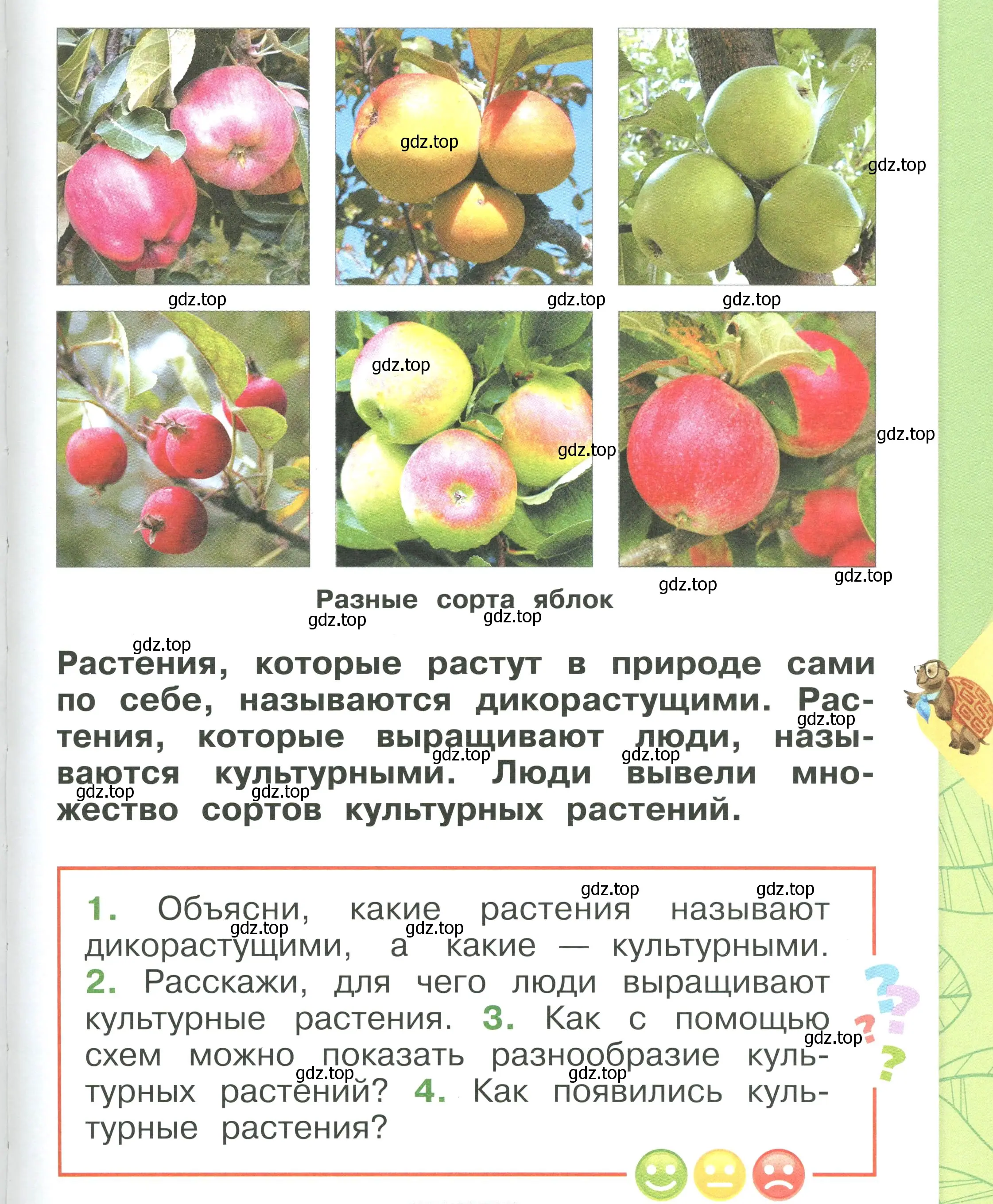 Условие номер 119 (страница 119) гдз по окружающему миру 1 класс Плешаков, учебник 1 часть