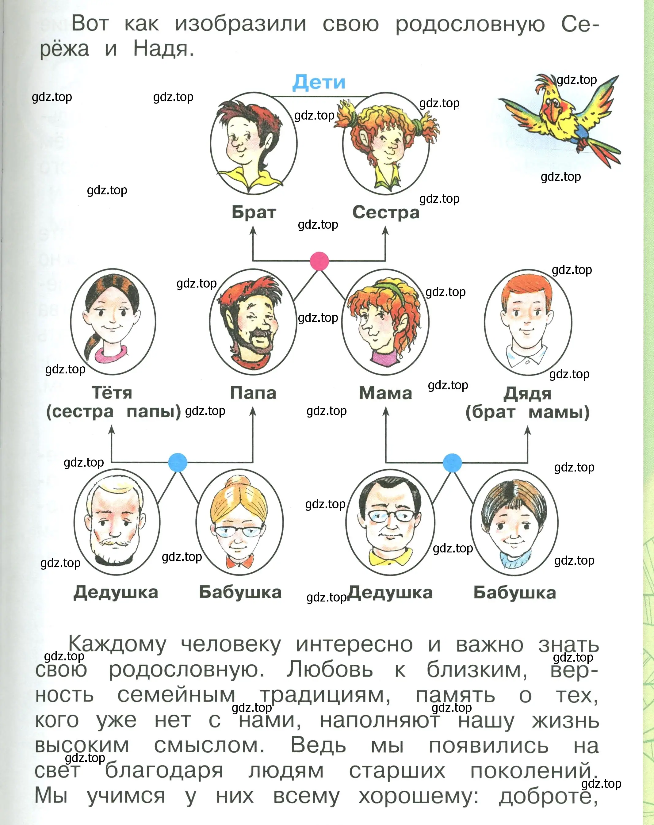 Условие номер 39 (страница 39) гдз по окружающему миру 1 класс Плешаков, учебник 1 часть