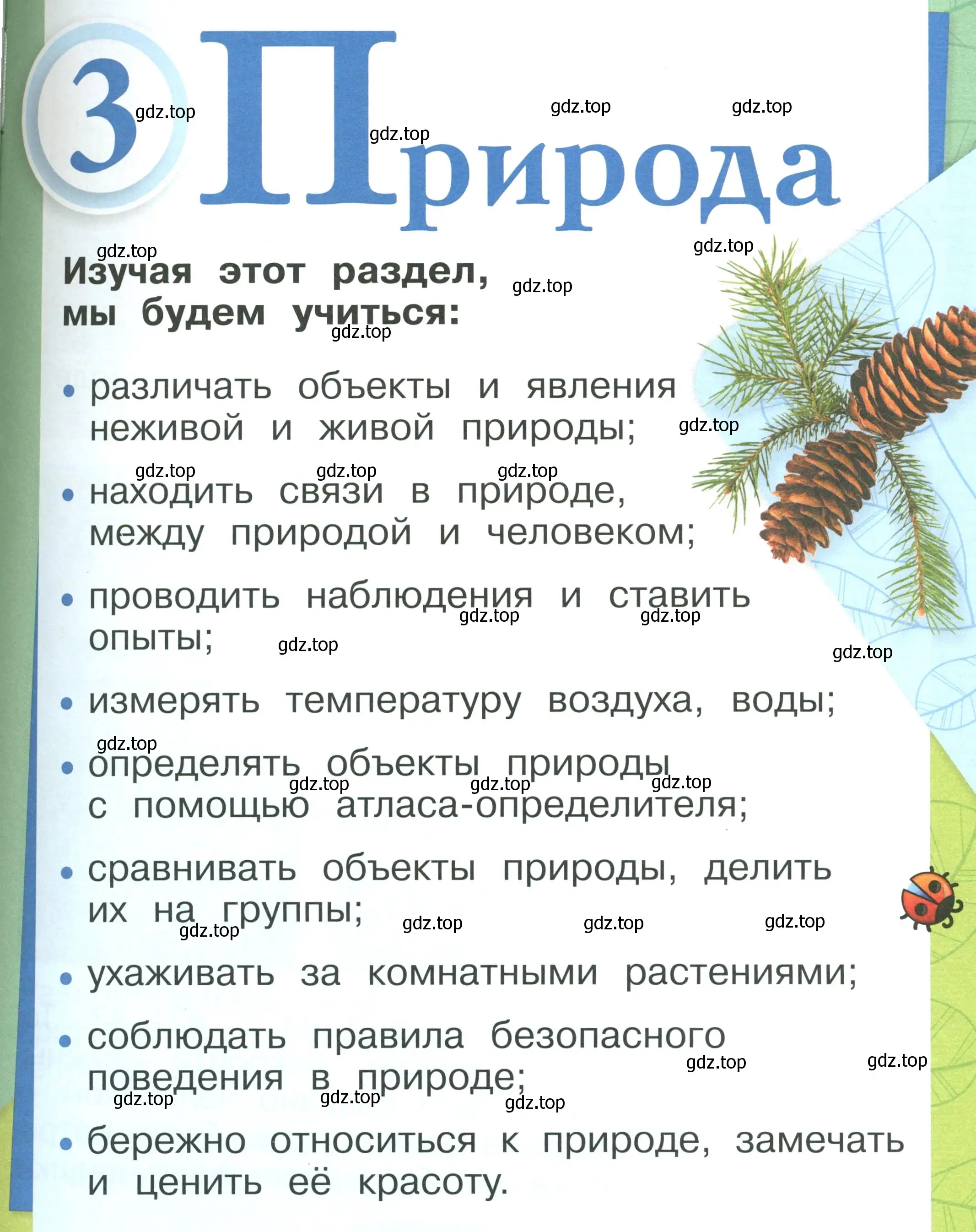 Условие номер 41 (страница 41) гдз по окружающему миру 1 класс Плешаков, учебник 1 часть