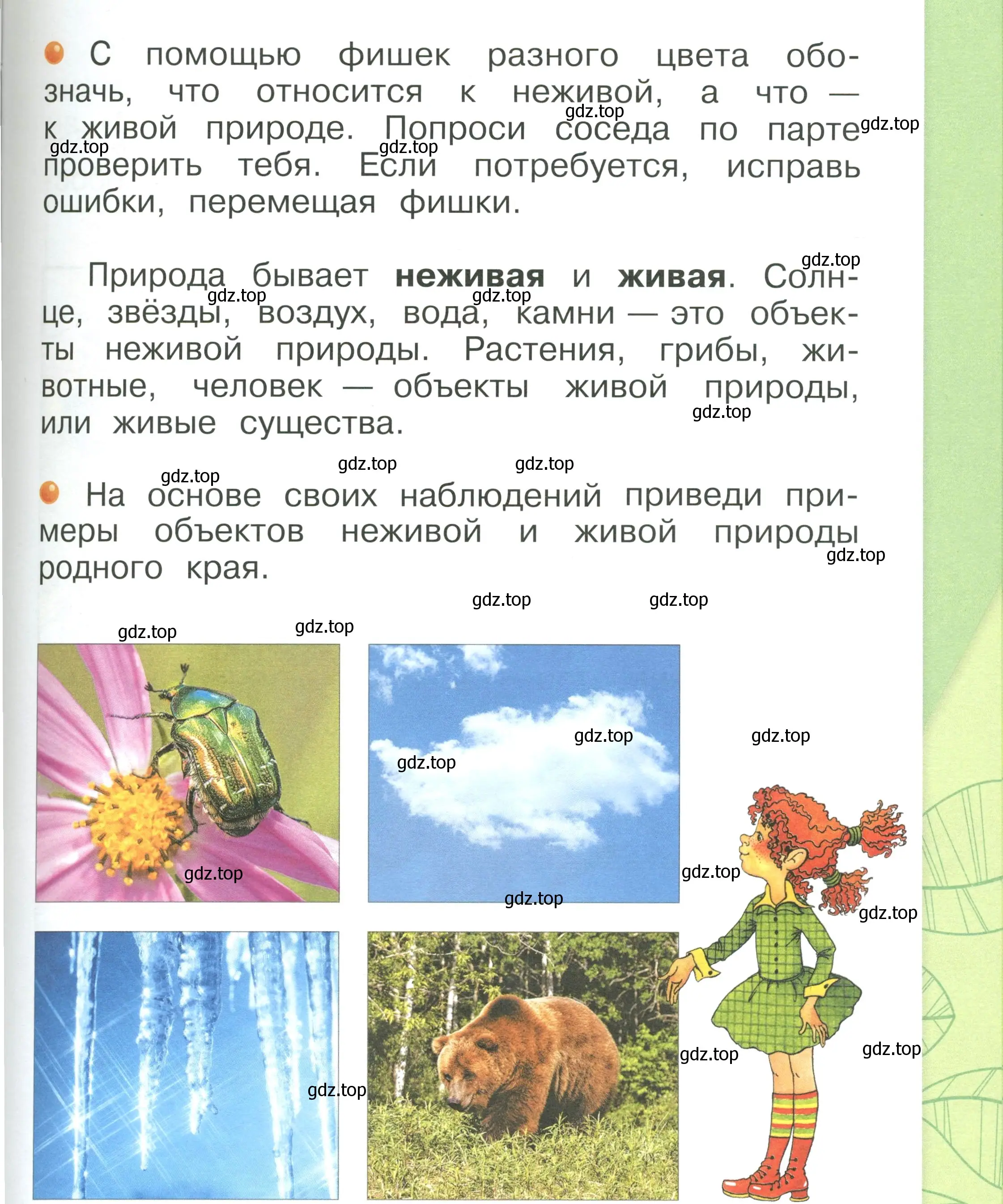 Условие номер 47 (страница 47) гдз по окружающему миру 1 класс Плешаков, учебник 1 часть