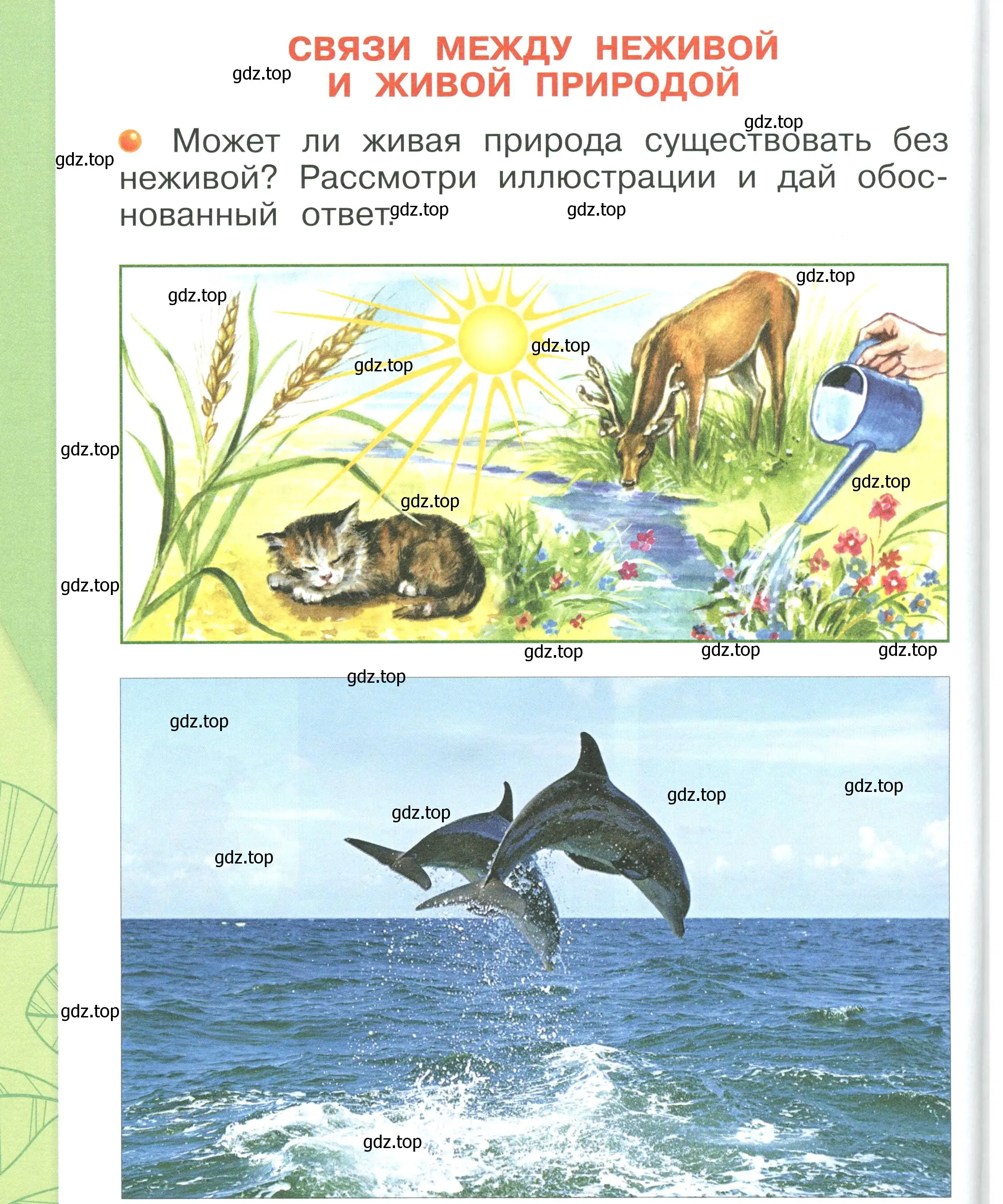 Условие номер 48 (страница 48) гдз по окружающему миру 1 класс Плешаков, учебник 1 часть