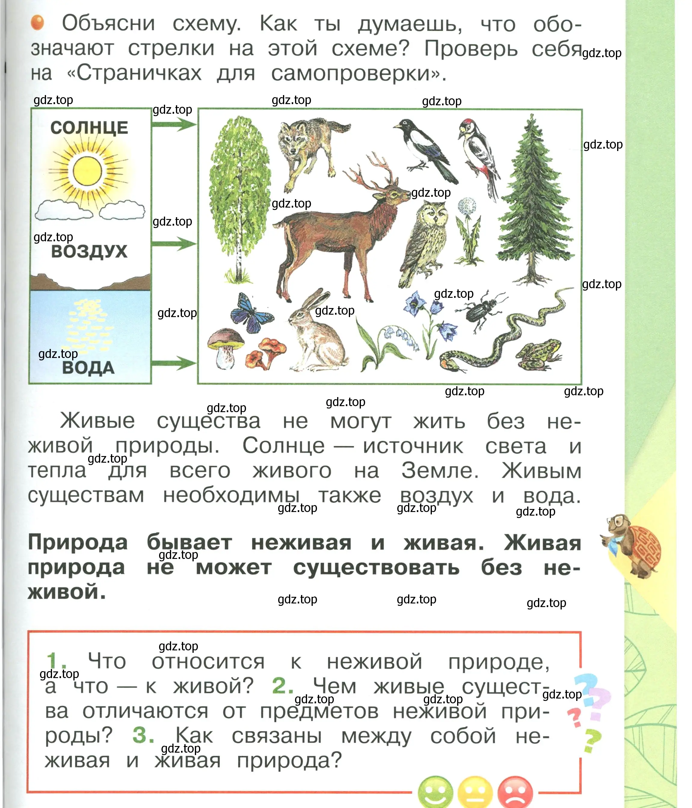 Условие номер 49 (страница 49) гдз по окружающему миру 1 класс Плешаков, учебник 1 часть