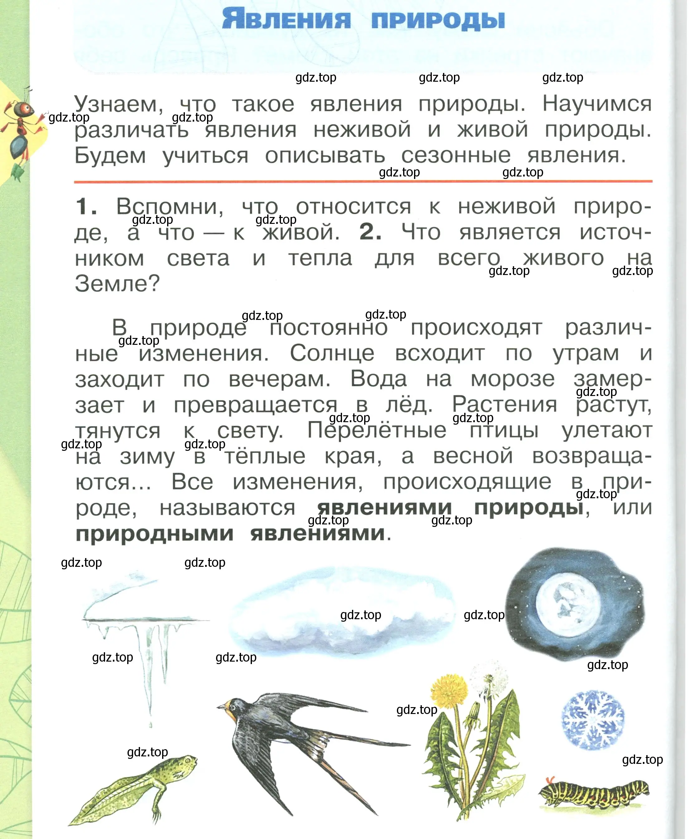 Условие номер 50 (страница 50) гдз по окружающему миру 1 класс Плешаков, учебник 1 часть