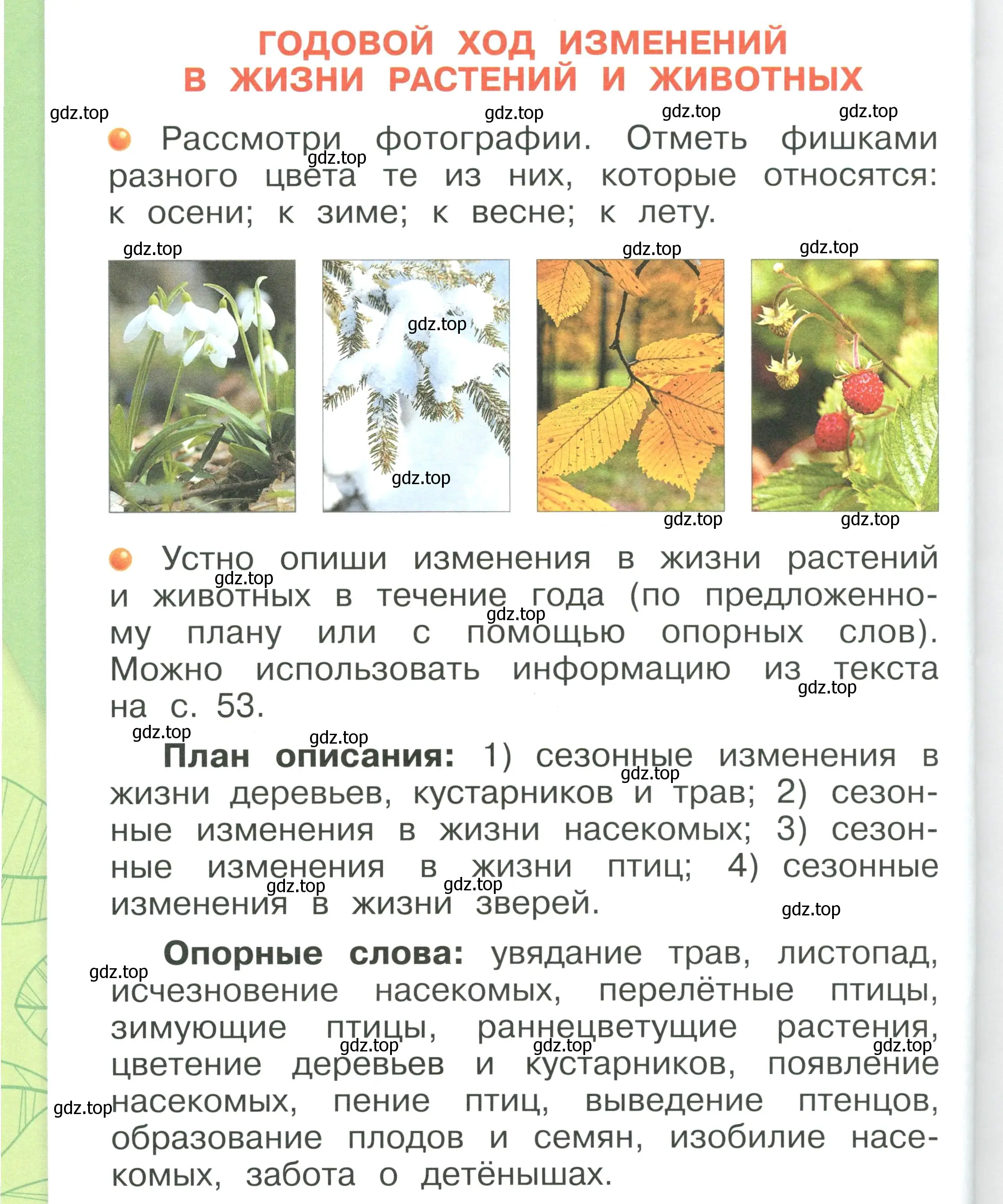 Условие номер 52 (страница 52) гдз по окружающему миру 1 класс Плешаков, учебник 1 часть