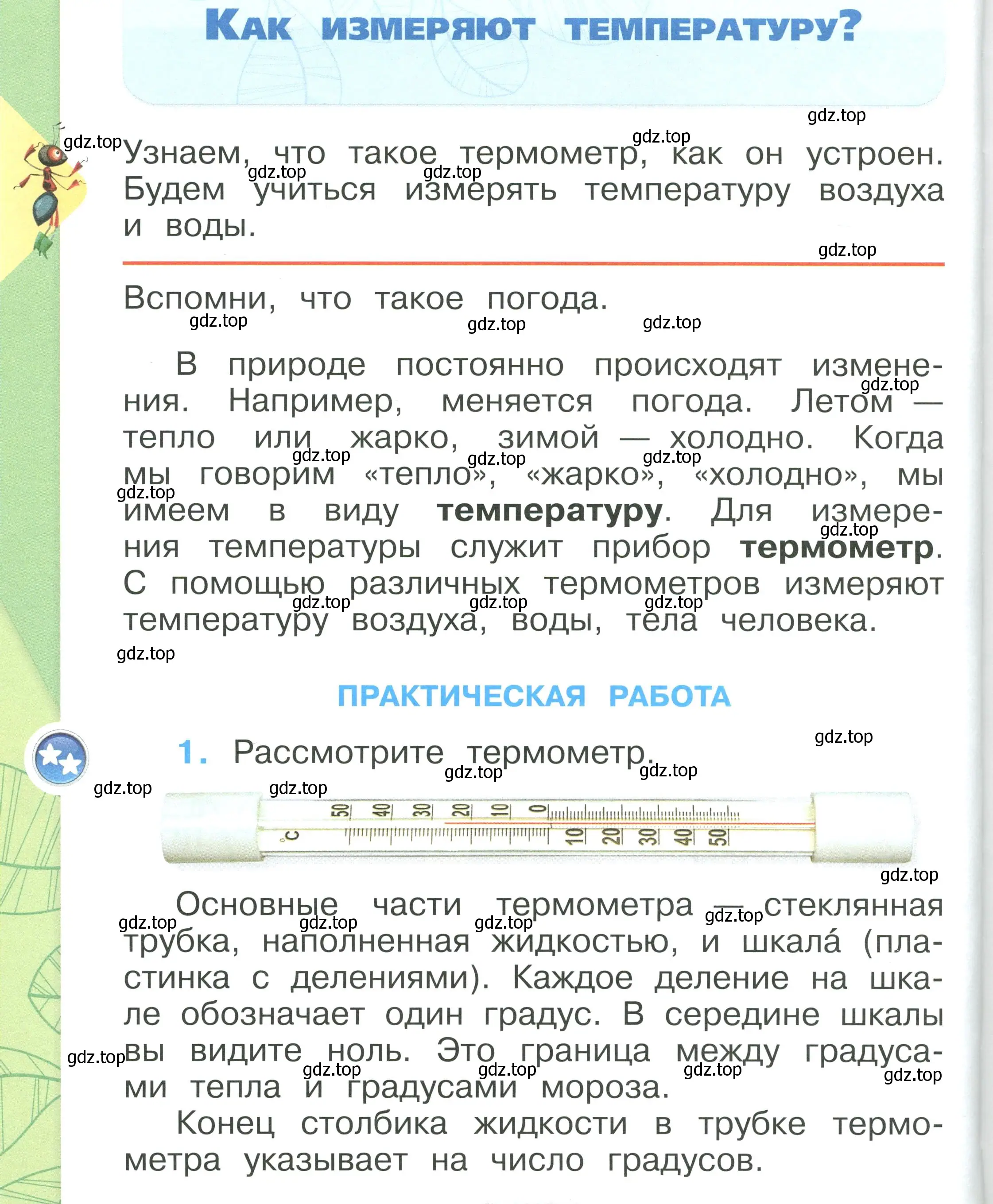 Условие номер 60 (страница 60) гдз по окружающему миру 1 класс Плешаков, учебник 1 часть