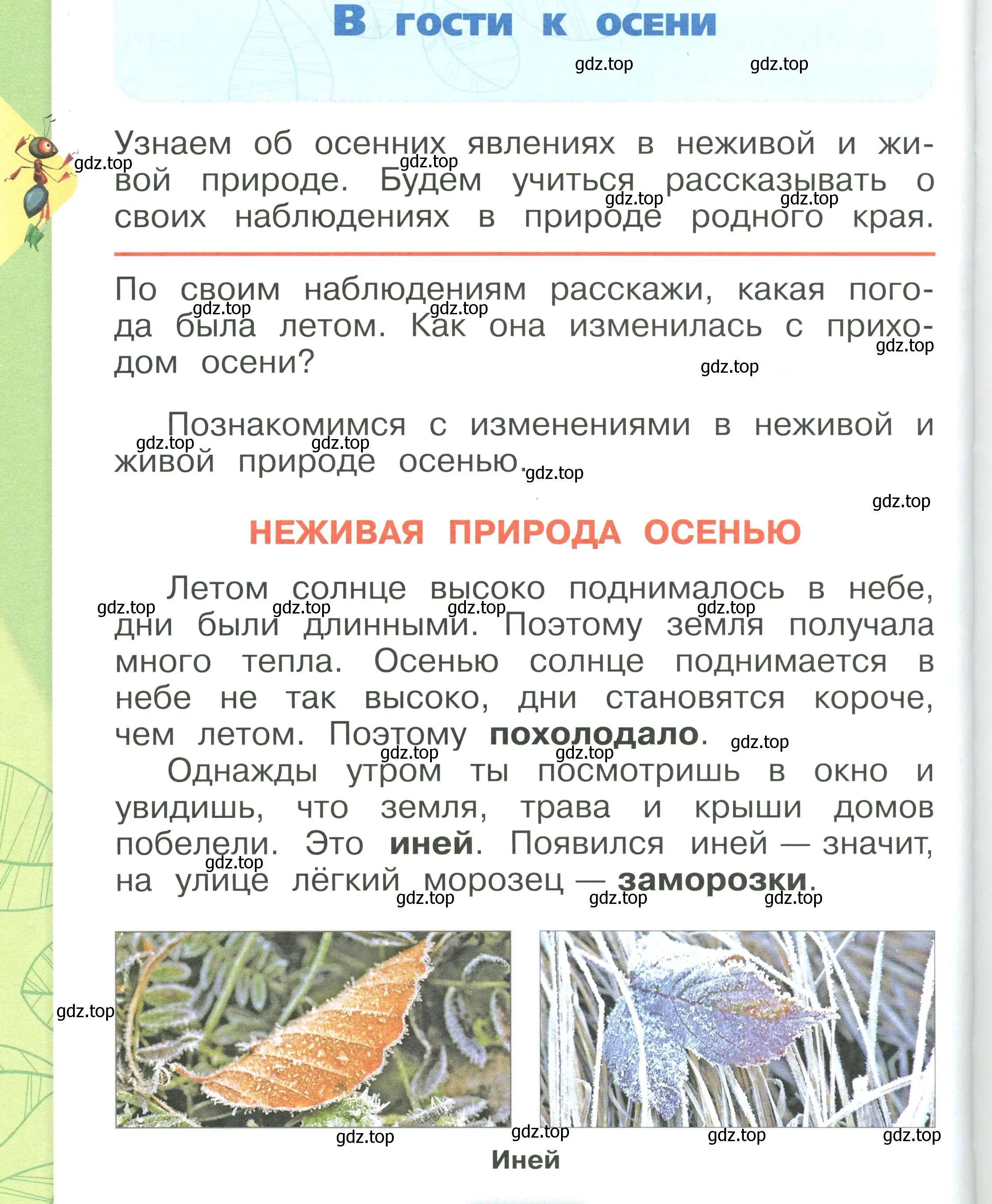 Условие номер 62 (страница 62) гдз по окружающему миру 1 класс Плешаков, учебник 1 часть