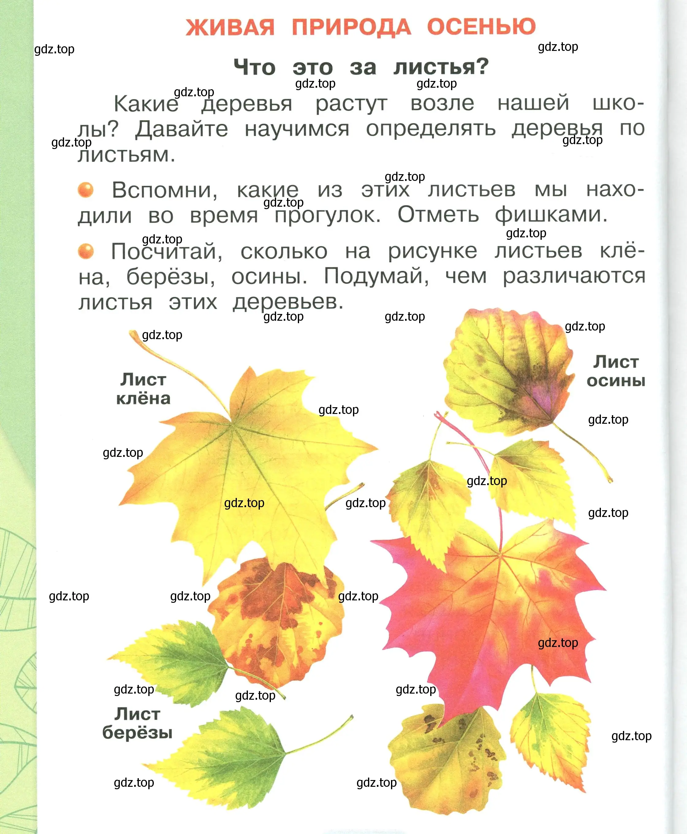 Условие номер 64 (страница 64) гдз по окружающему миру 1 класс Плешаков, учебник 1 часть